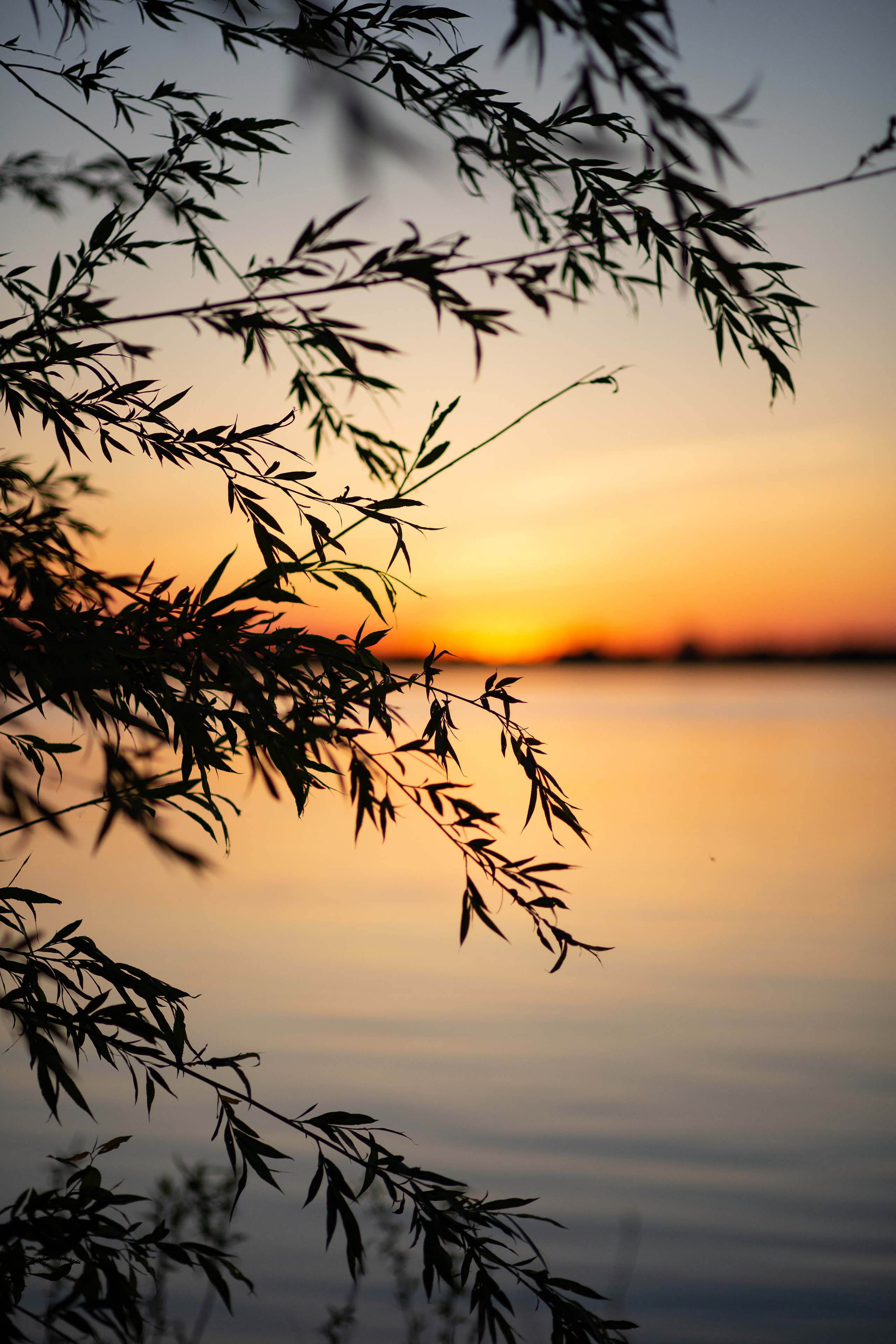 ПРИРОДА. MARIA SOKOLOVA