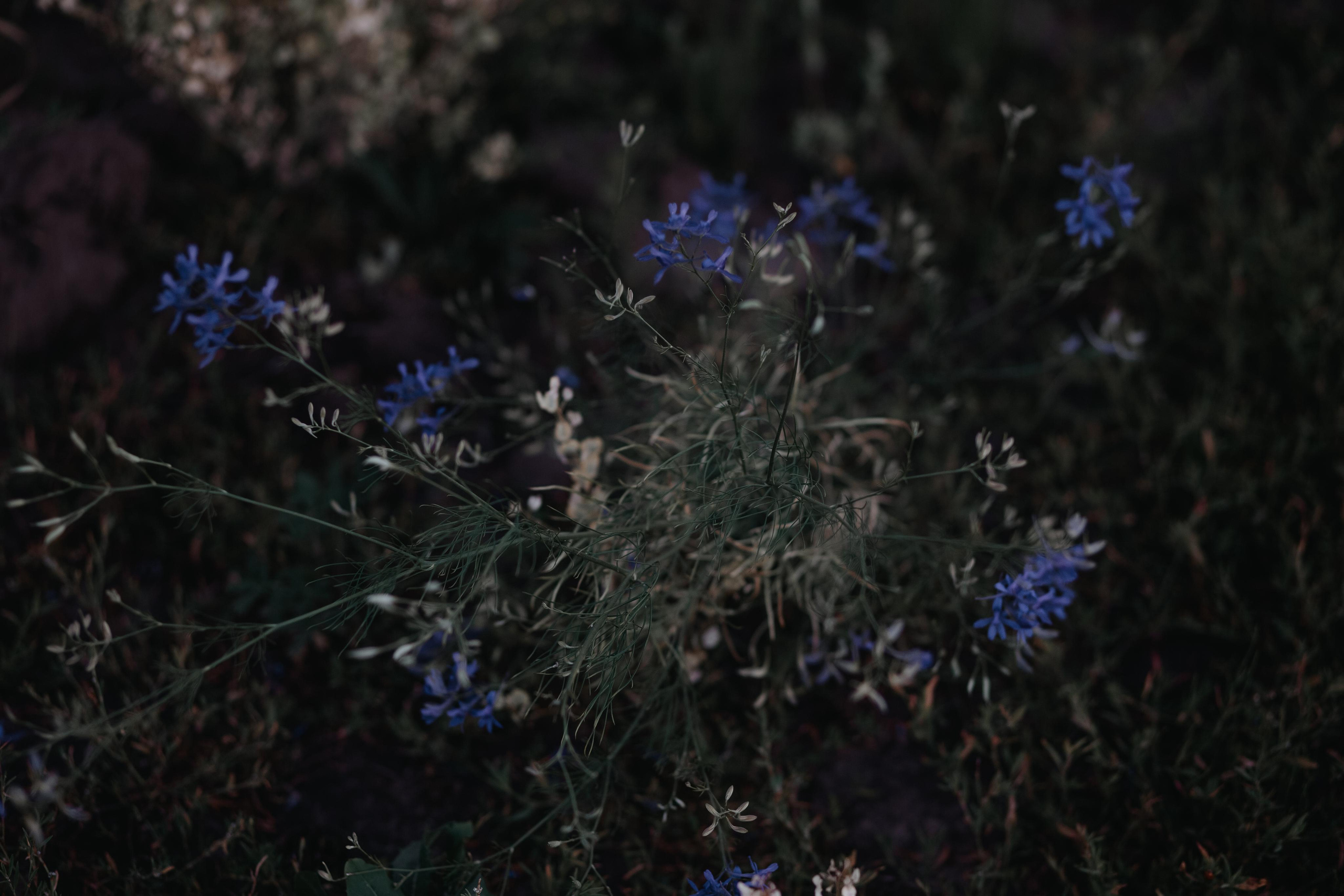 ПРИРОДА. MARIA SOKOLOVA