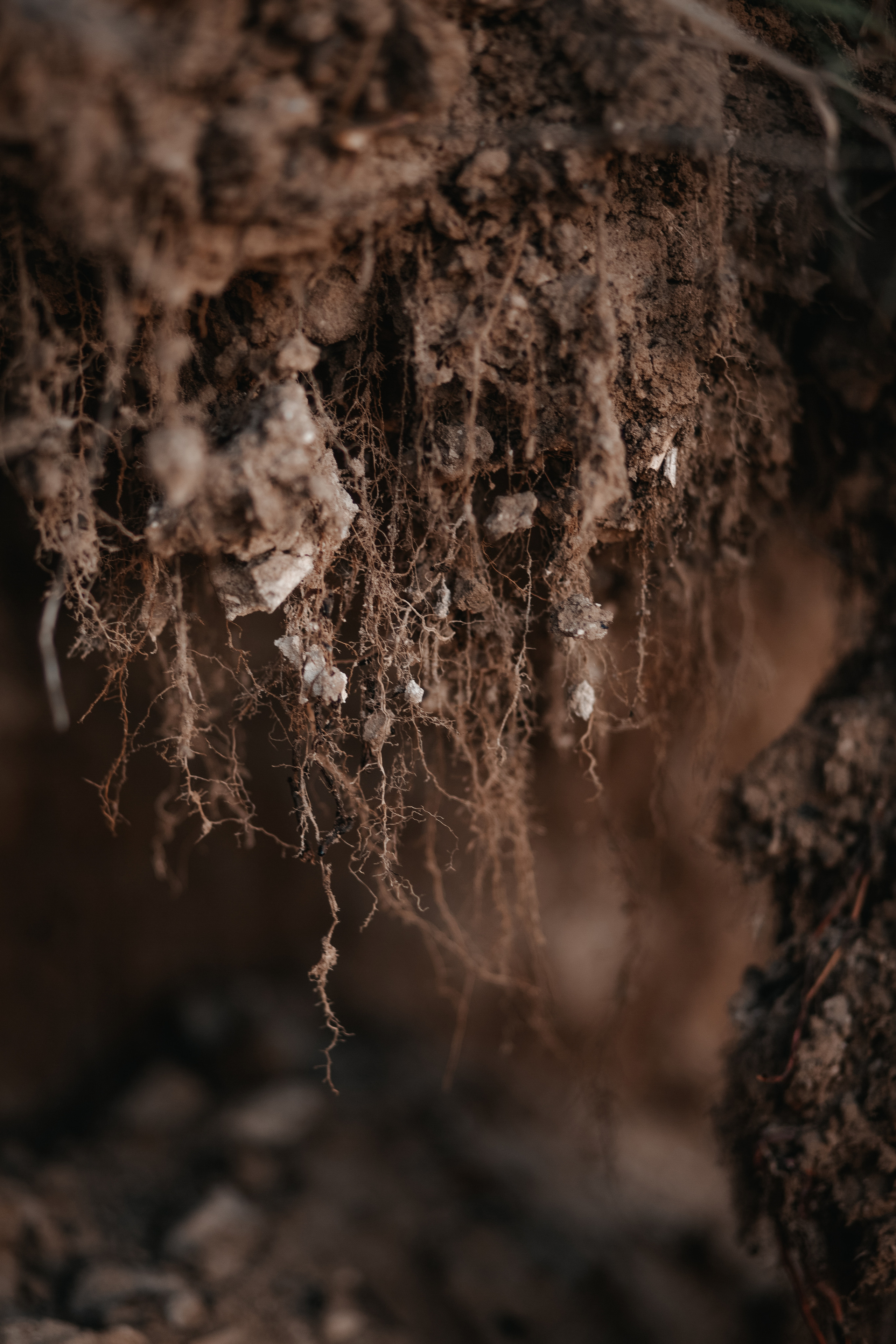 ПРИРОДА. MARIA SOKOLOVA