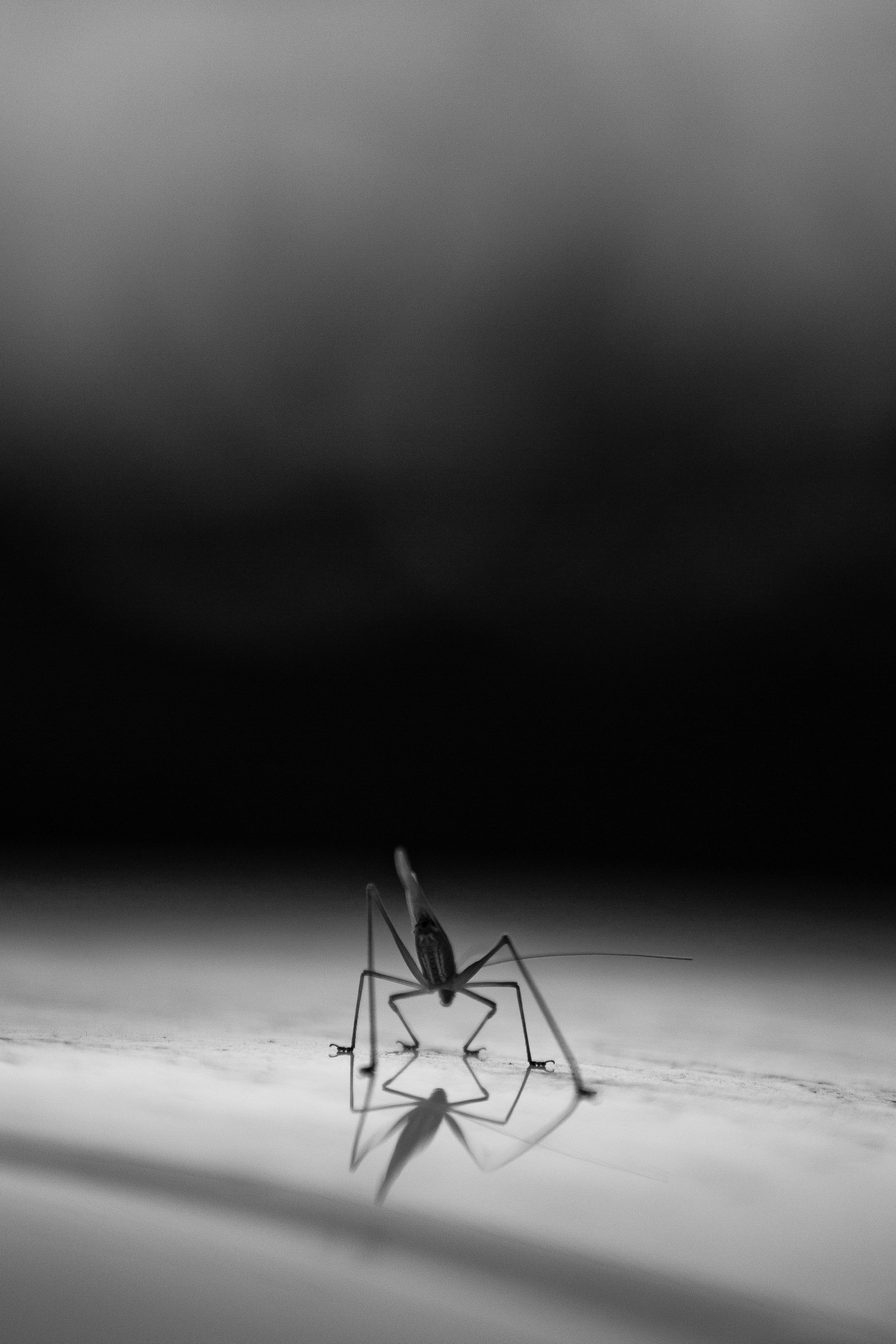 ПРИРОДА. MARIA SOKOLOVA