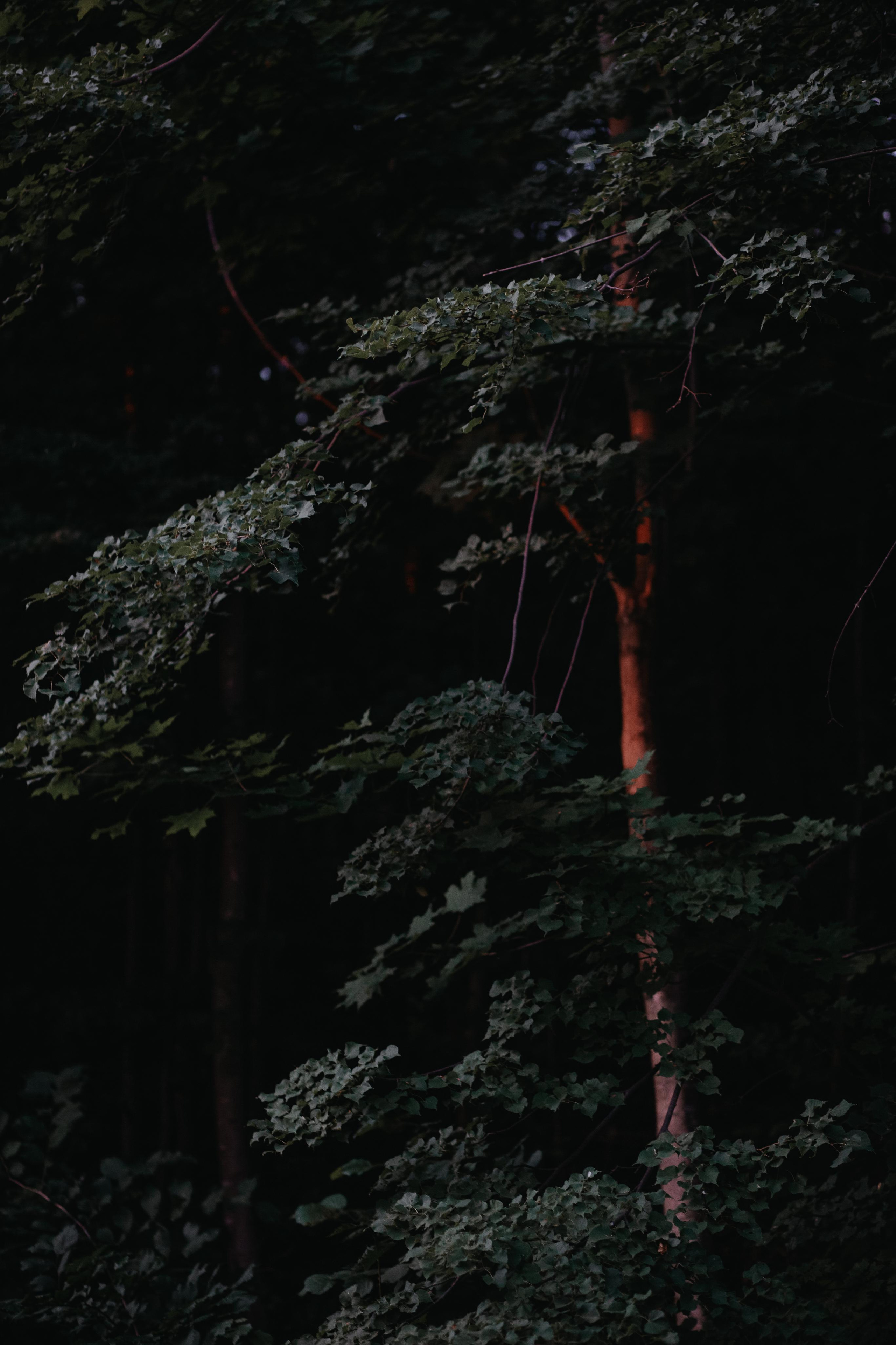 ПРИРОДА. MARIA SOKOLOVA