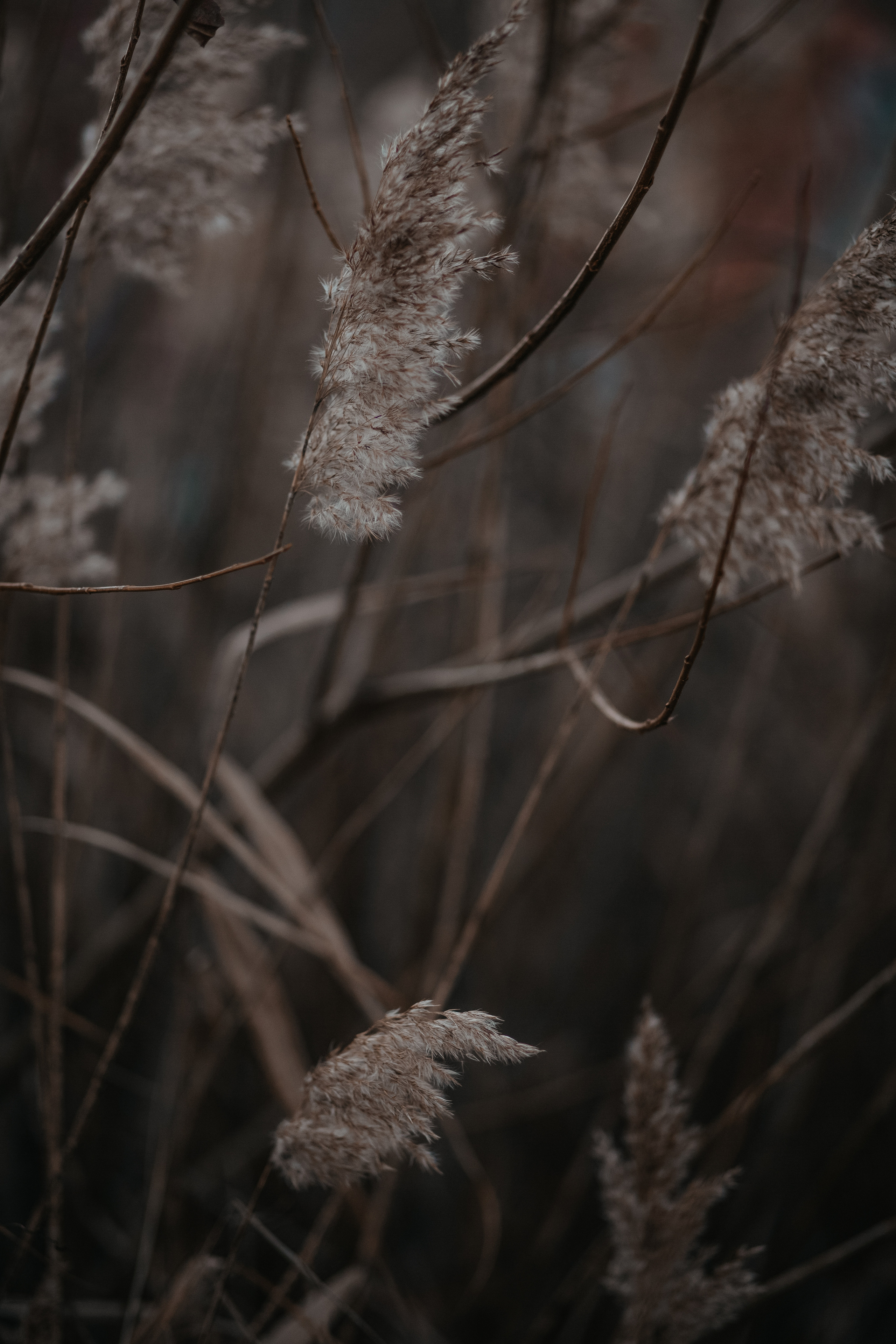 ПРИРОДА. MARIA SOKOLOVA