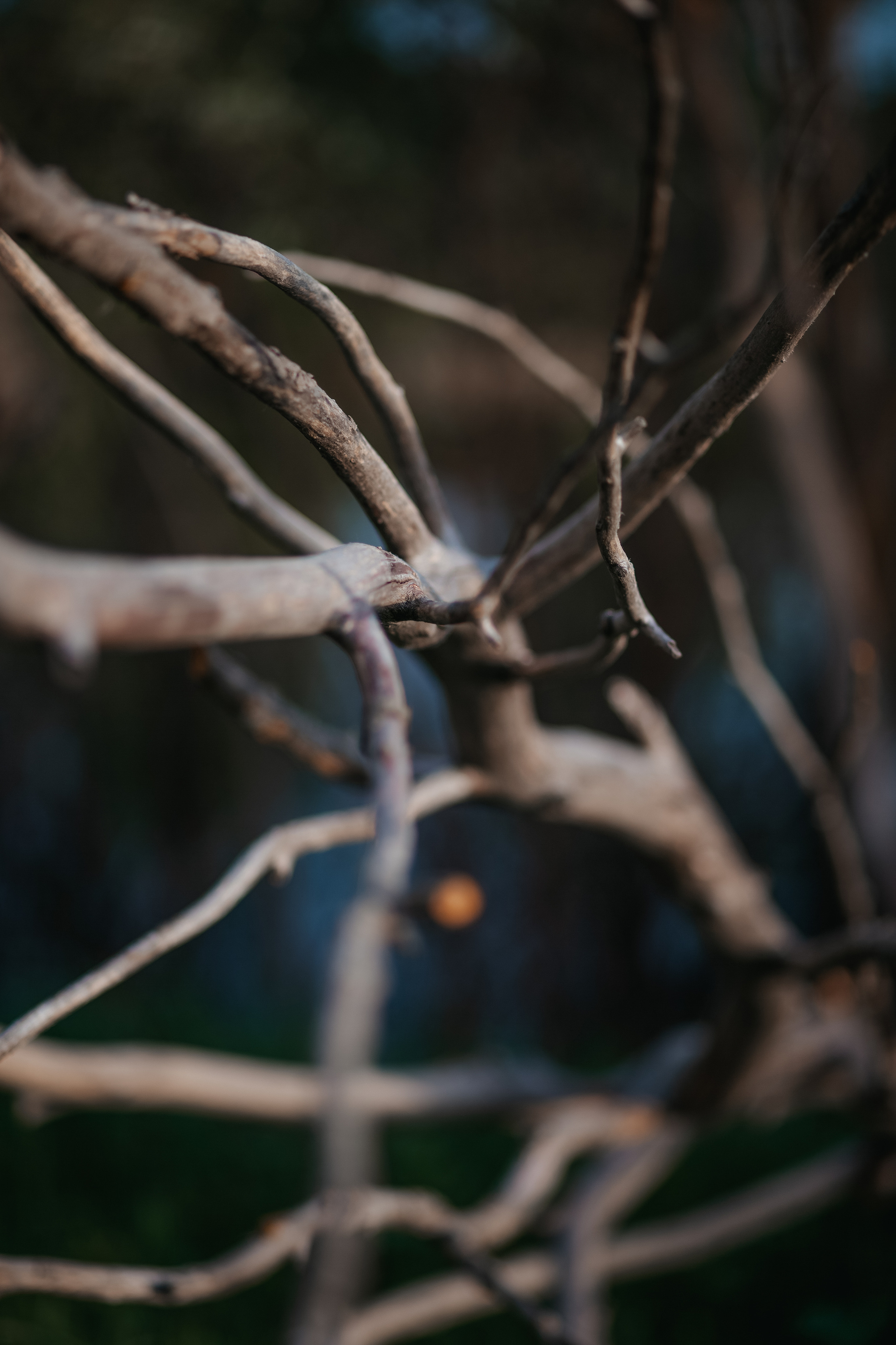 ПРИРОДА. MARIA SOKOLOVA