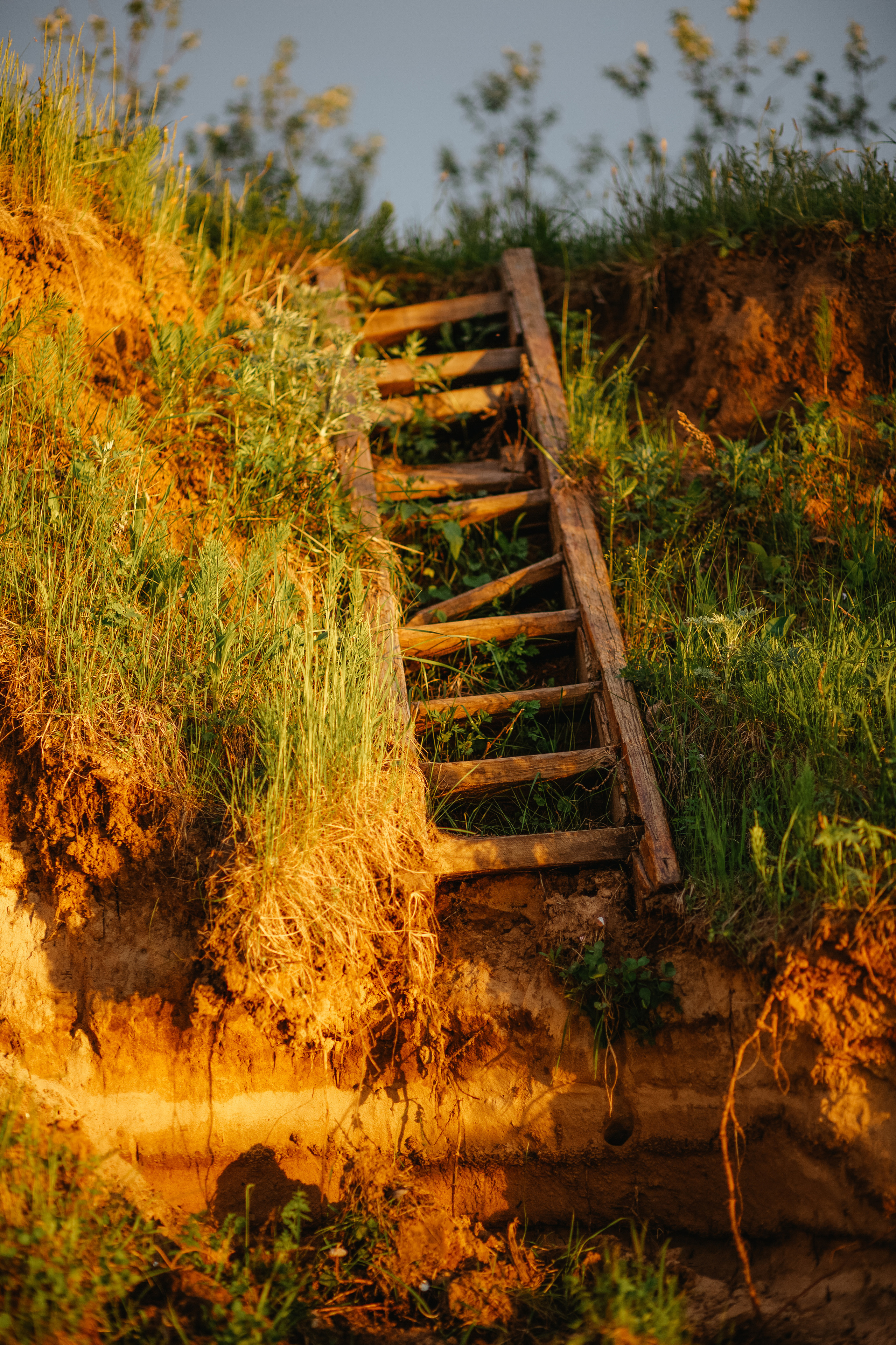 ПРИРОДА. MARIA SOKOLOVA