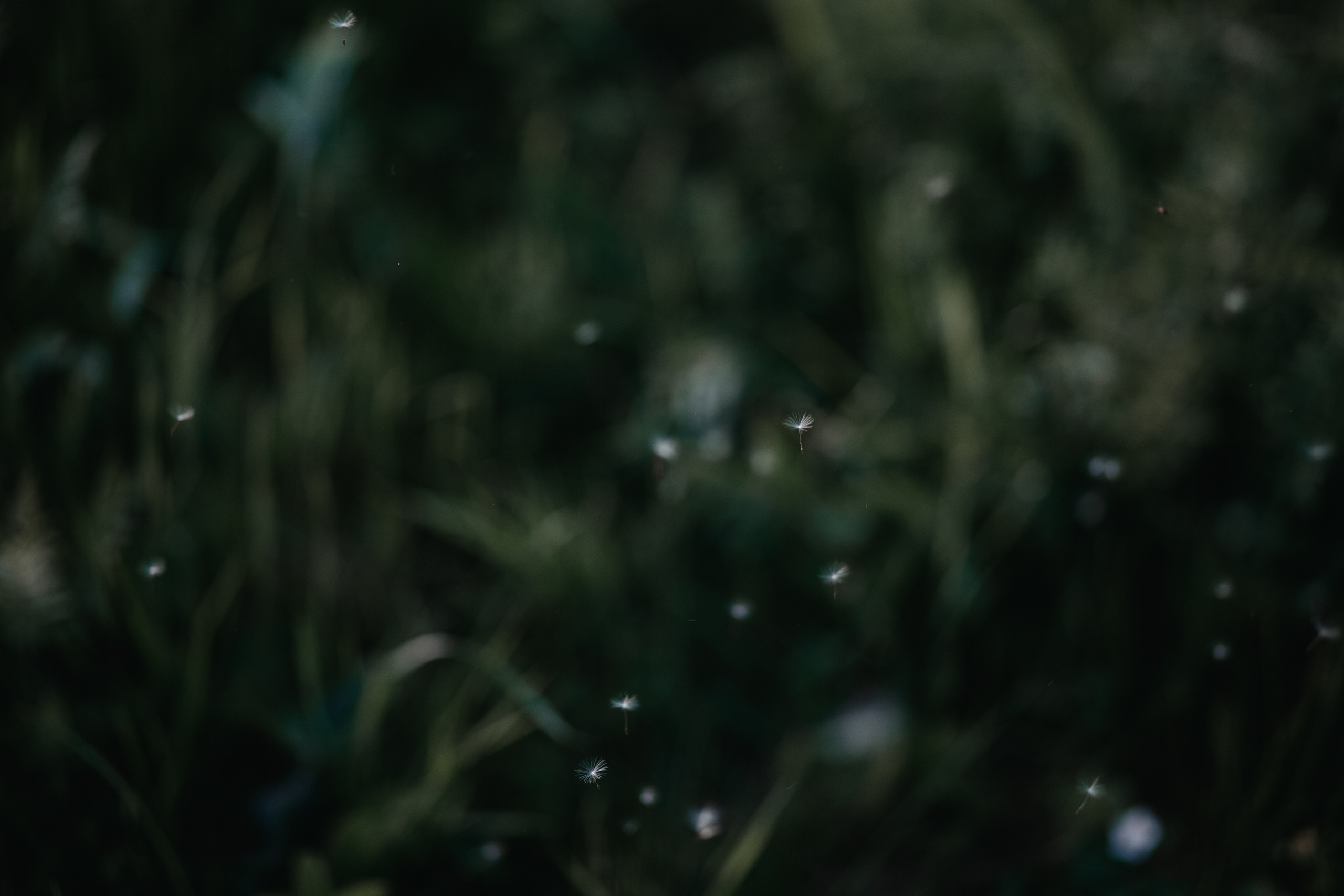 ПРИРОДА. MARIA SOKOLOVA