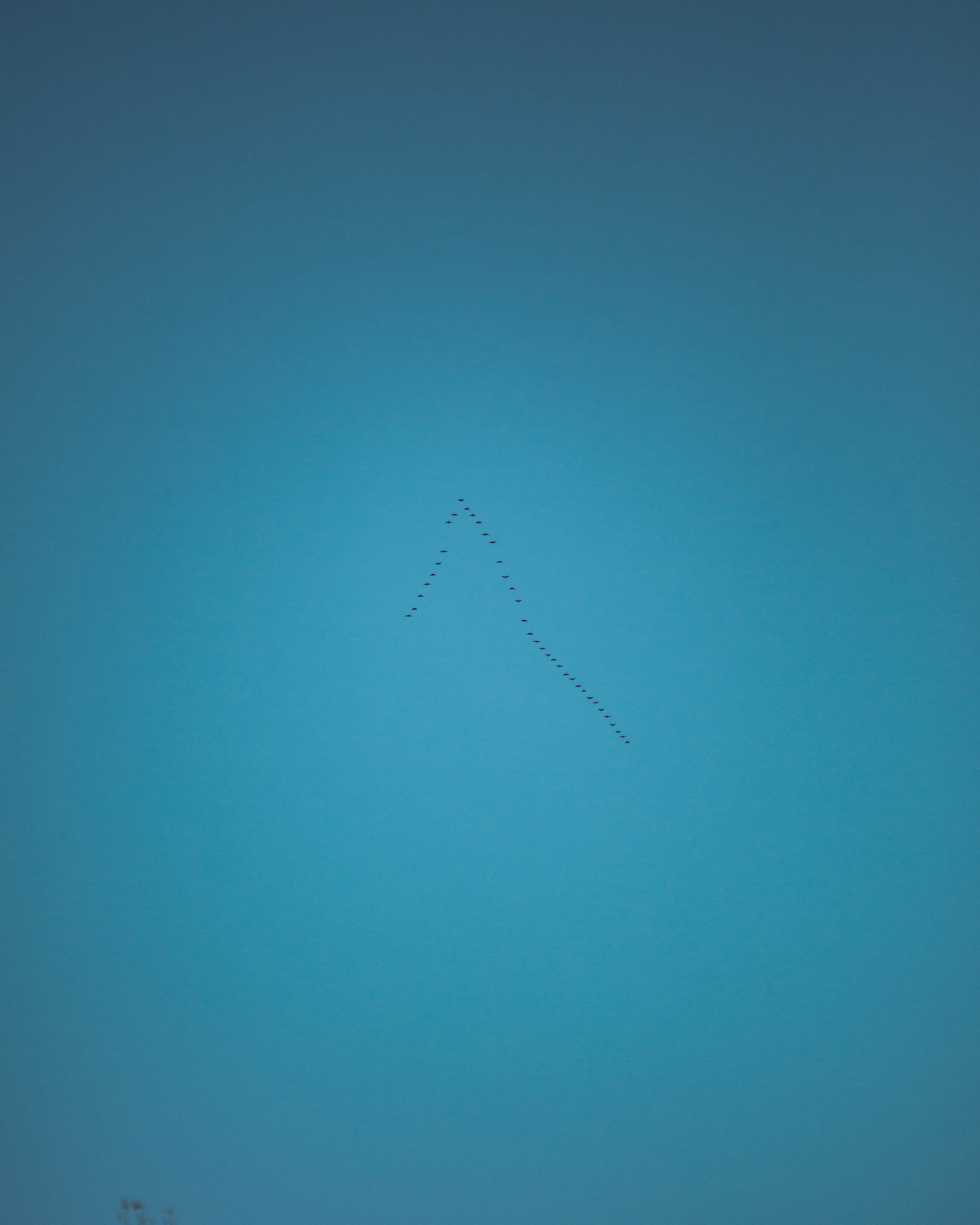 ПРИРОДА. MARIA SOKOLOVA