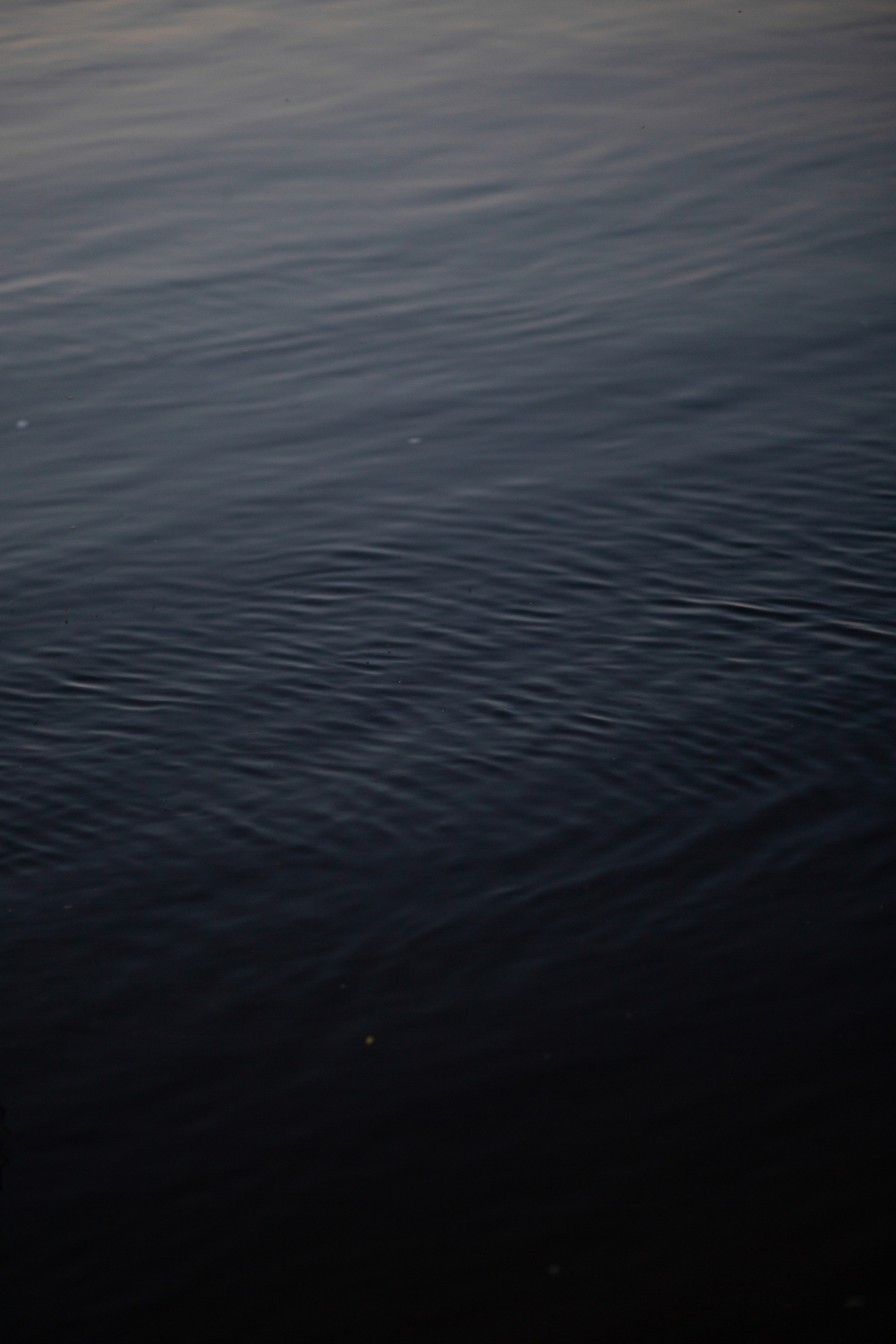 ПРИРОДА. MARIA SOKOLOVA