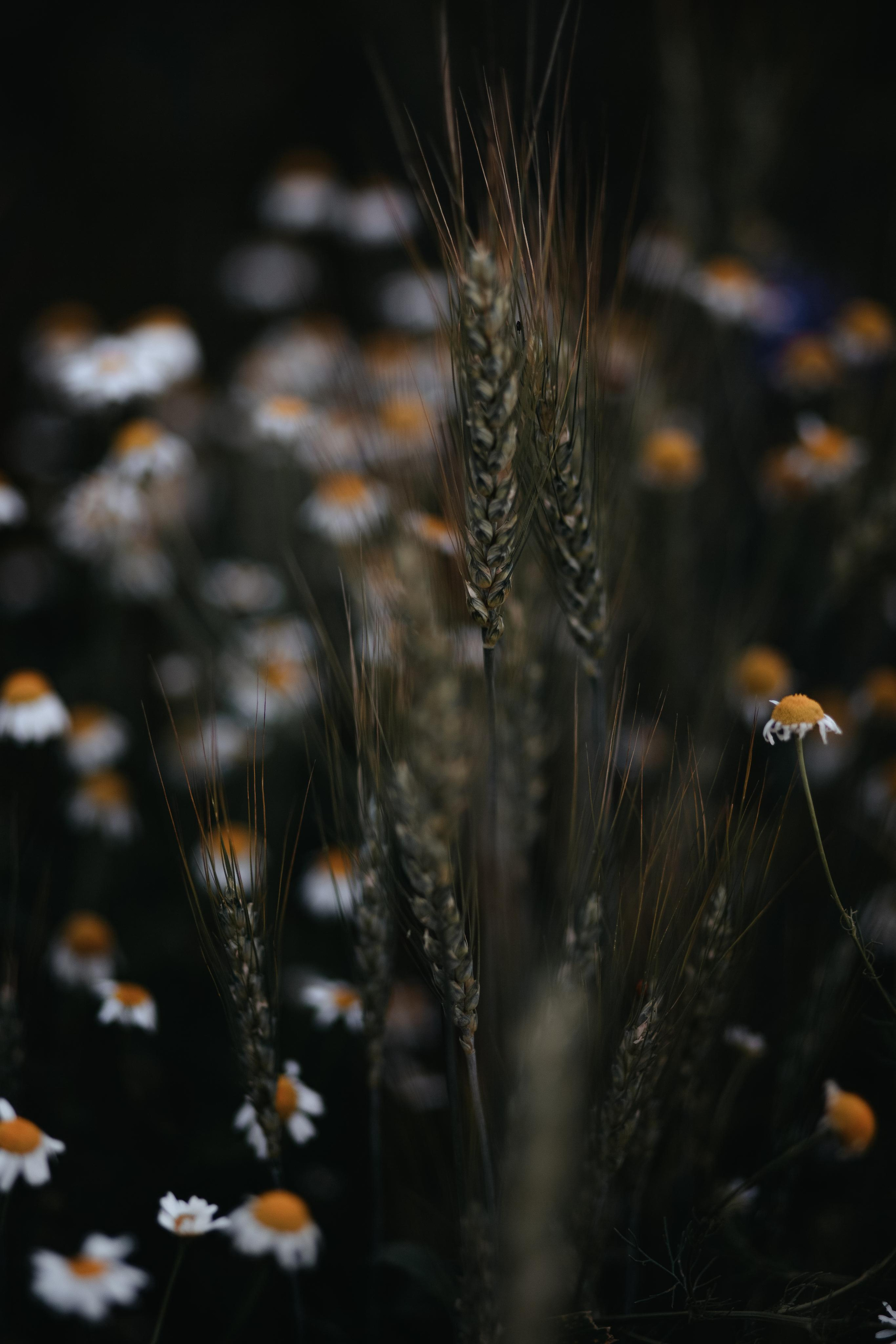 ПРИРОДА. MARIA SOKOLOVA