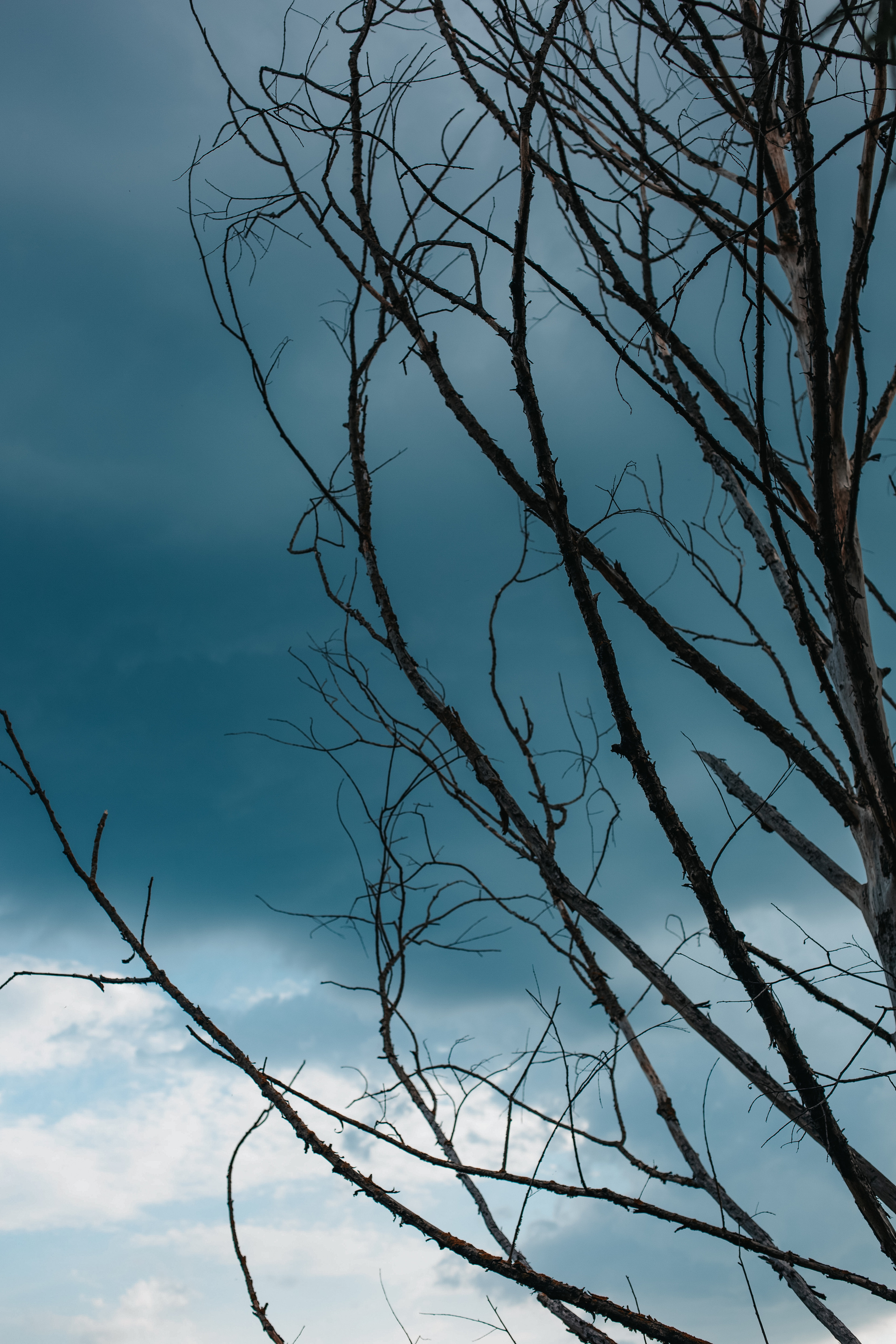 ПРИРОДА. MARIA SOKOLOVA