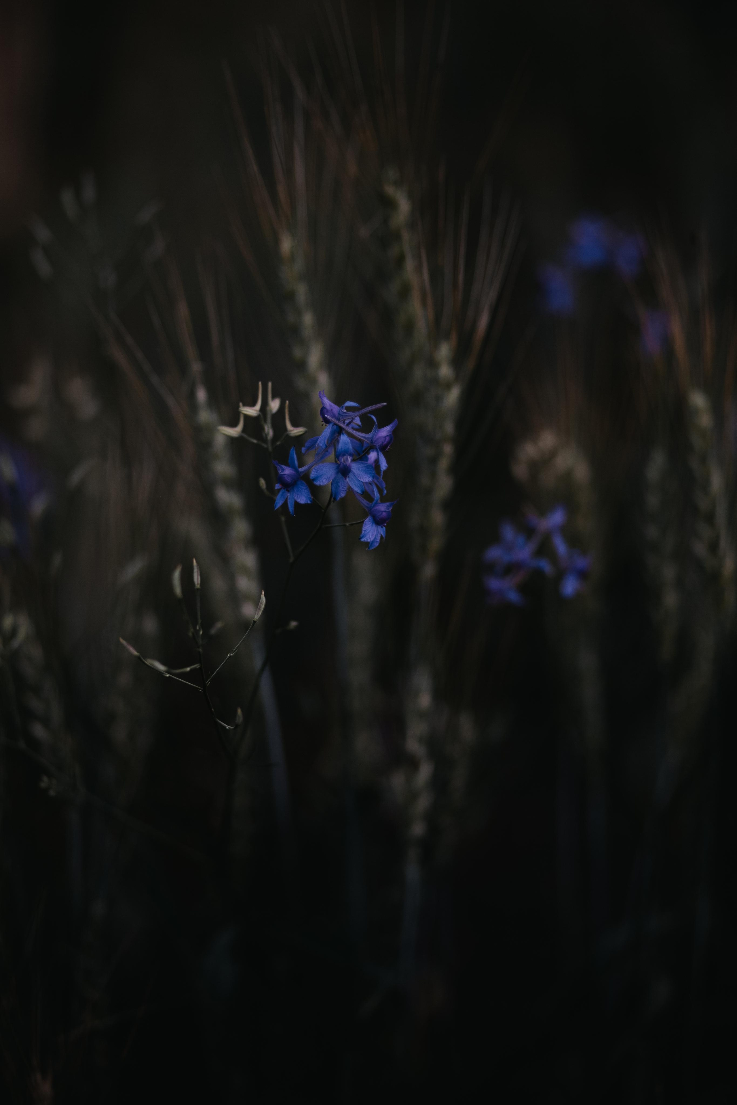 ПРИРОДА. MARIA SOKOLOVA