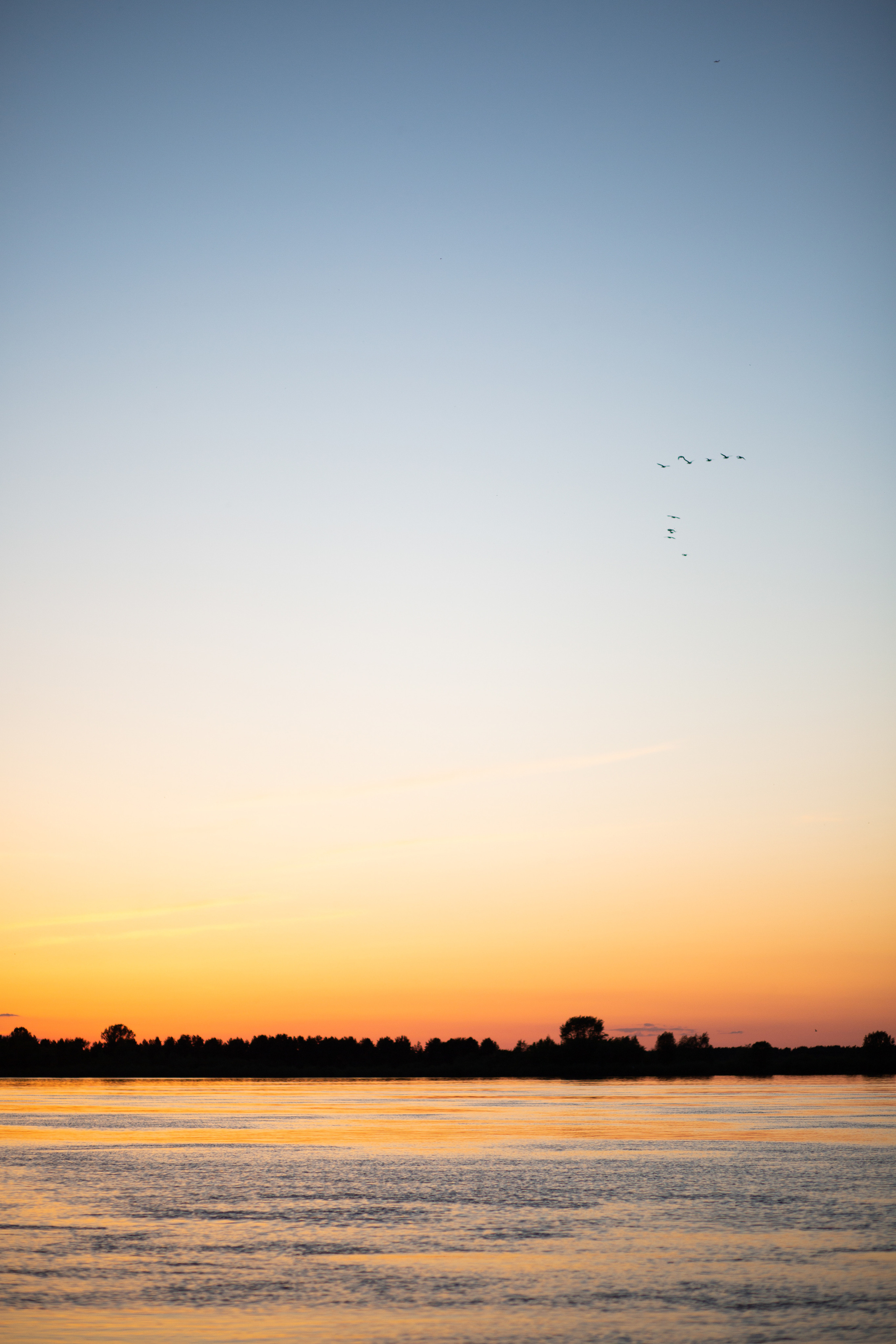 ПРИРОДА. MARIA SOKOLOVA