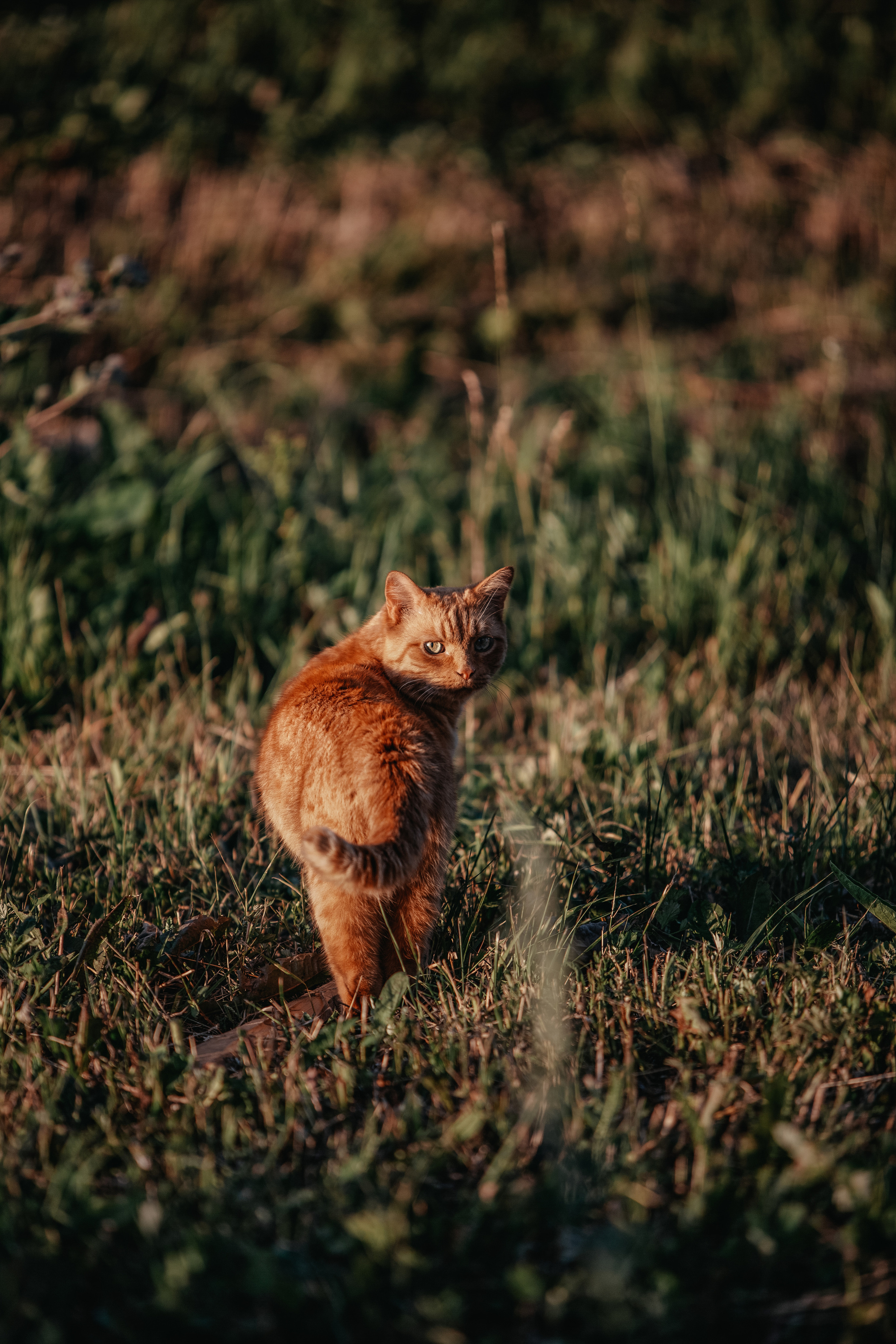 ПРИРОДА. MARIA SOKOLOVA