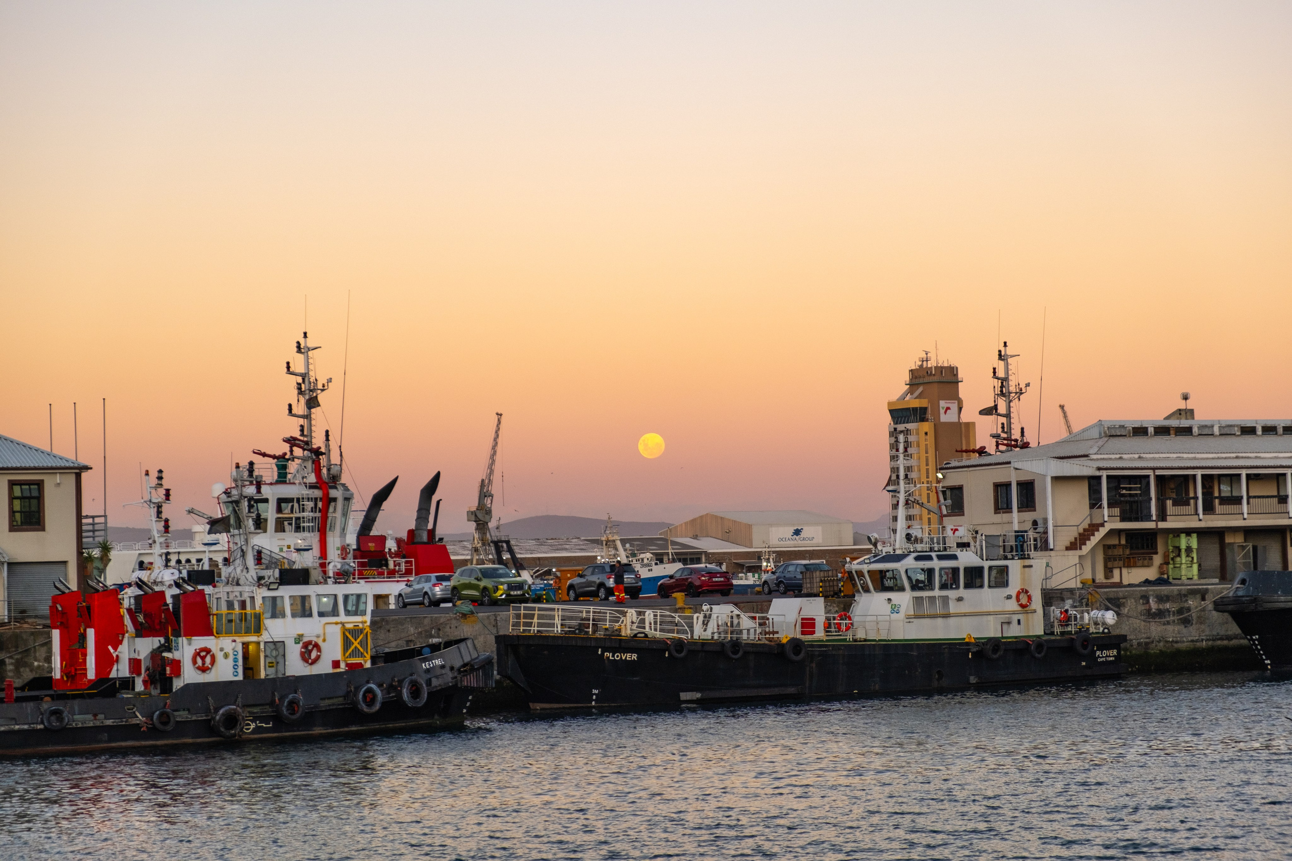 Морские котики и закат. Фотографии из путешествий