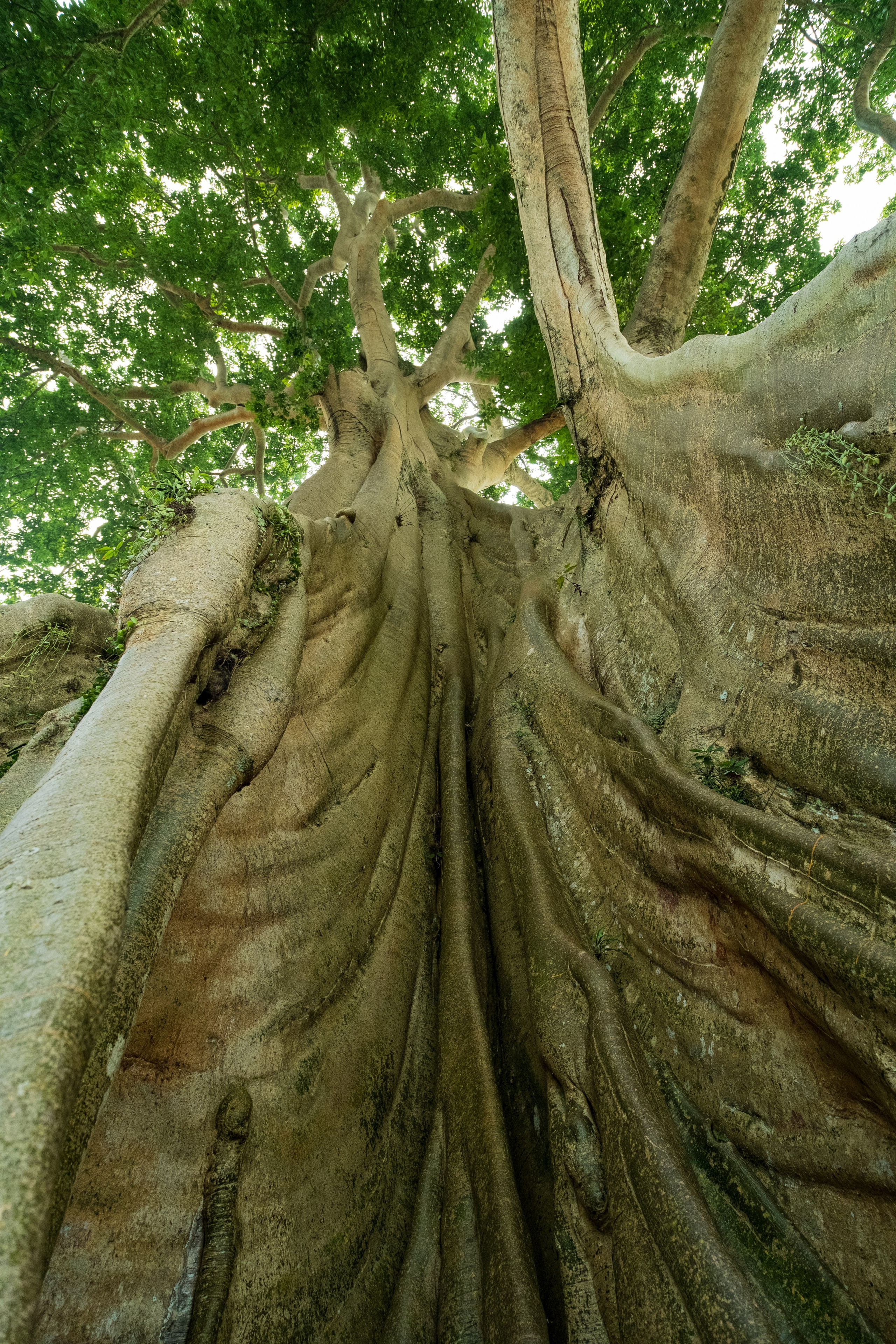 Остров Бали. Фотографии из путешествий