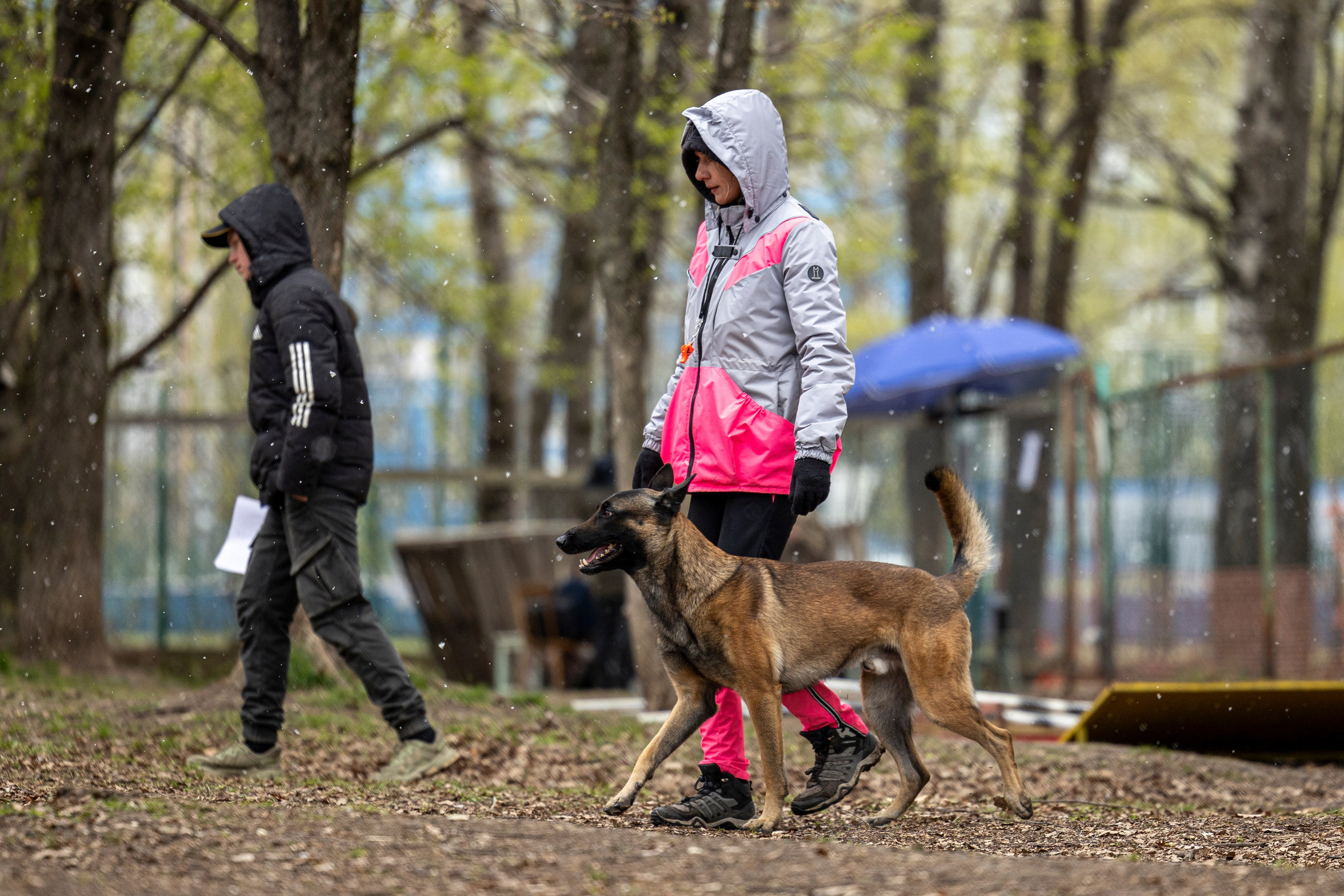 Квалификационные состязания по мондьорингу г. Вологда 11.05.24. Фотограф-анималист Анна Маринич