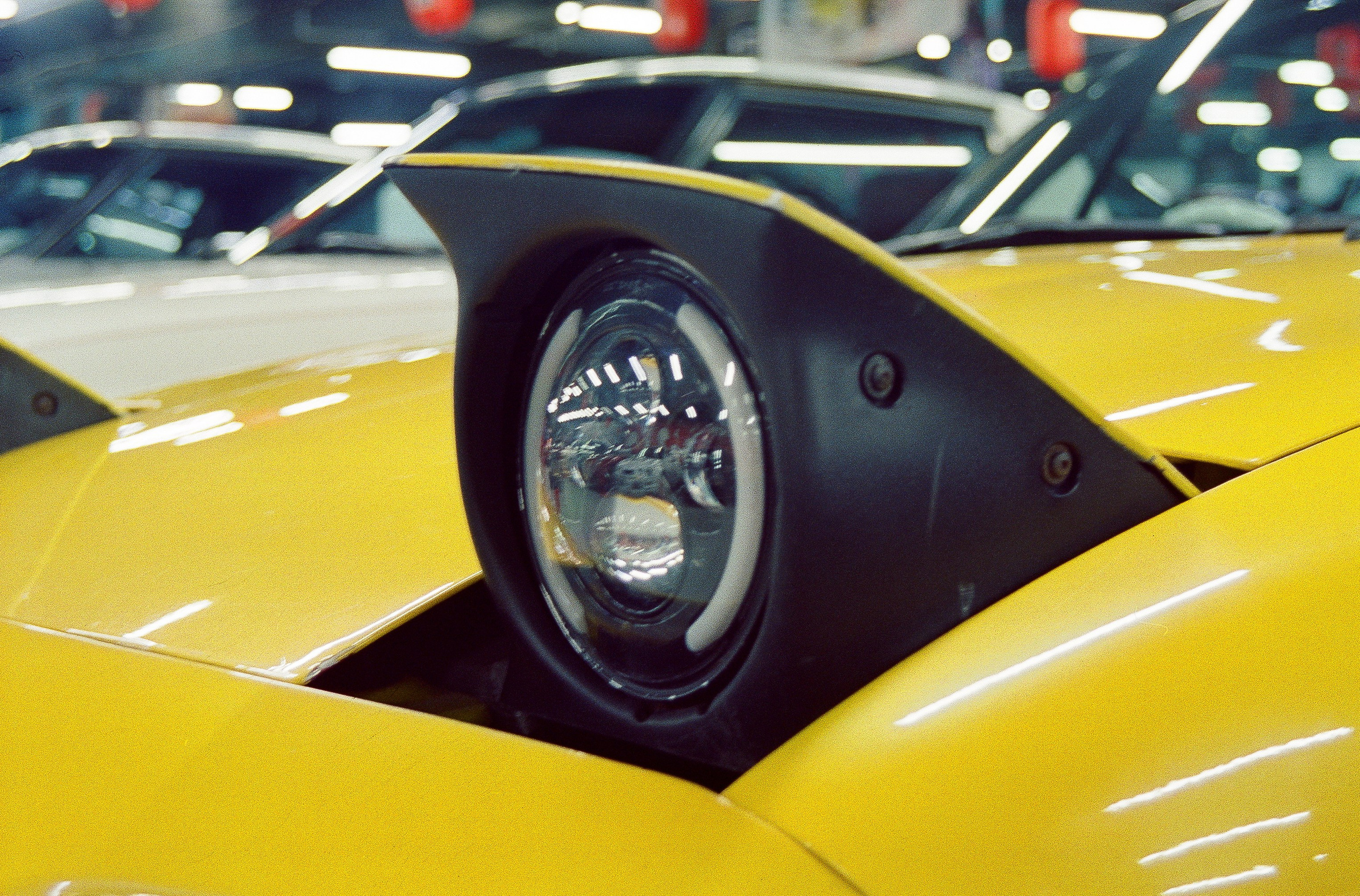 #05пленка. Kodak Vision 3 500T. Minolta Dynax 5. 28-80. Фотограф Наталья Вершинина