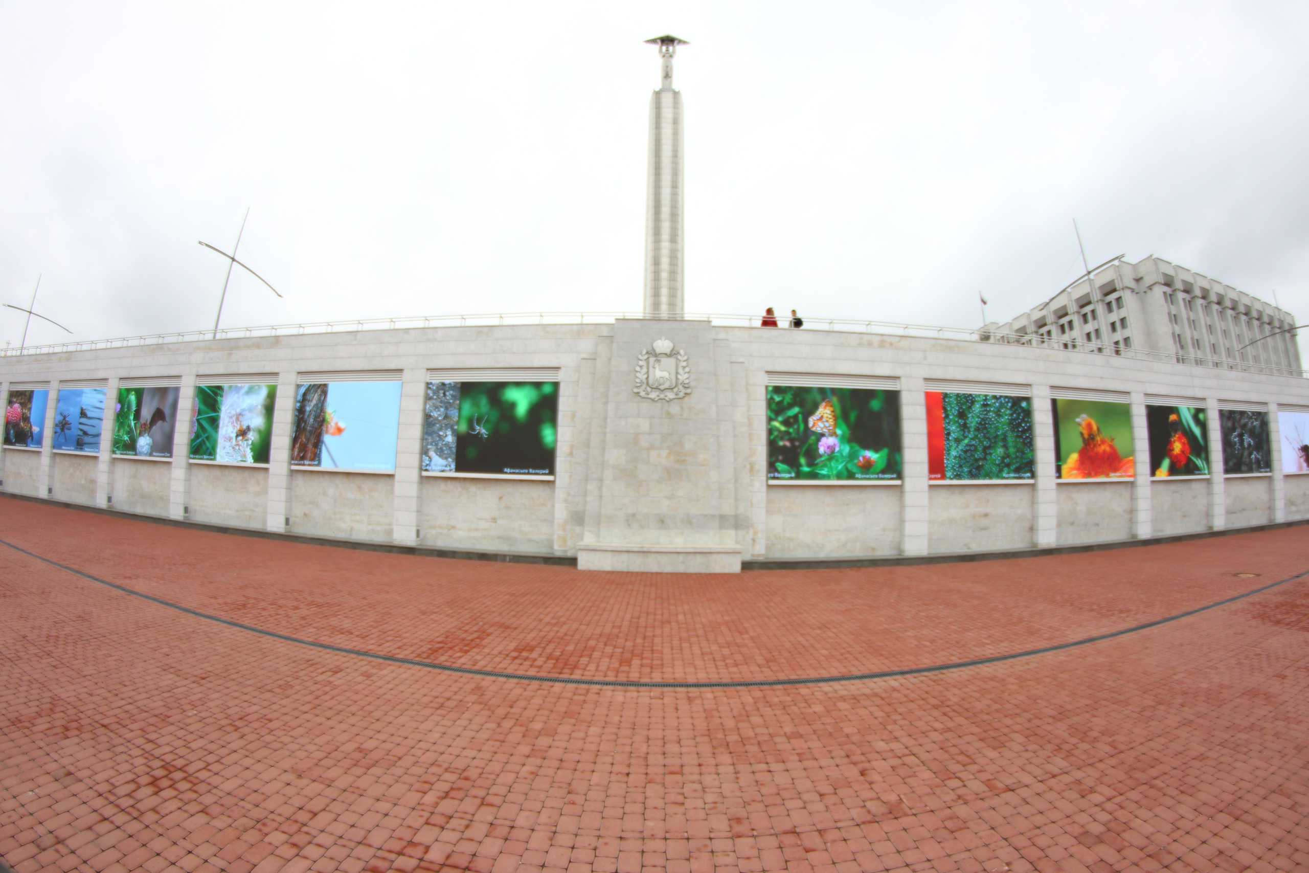 03.10.2021 Выставка «МакроМагия». Фотообъединение Самарского областного отделения Союза журналистов России