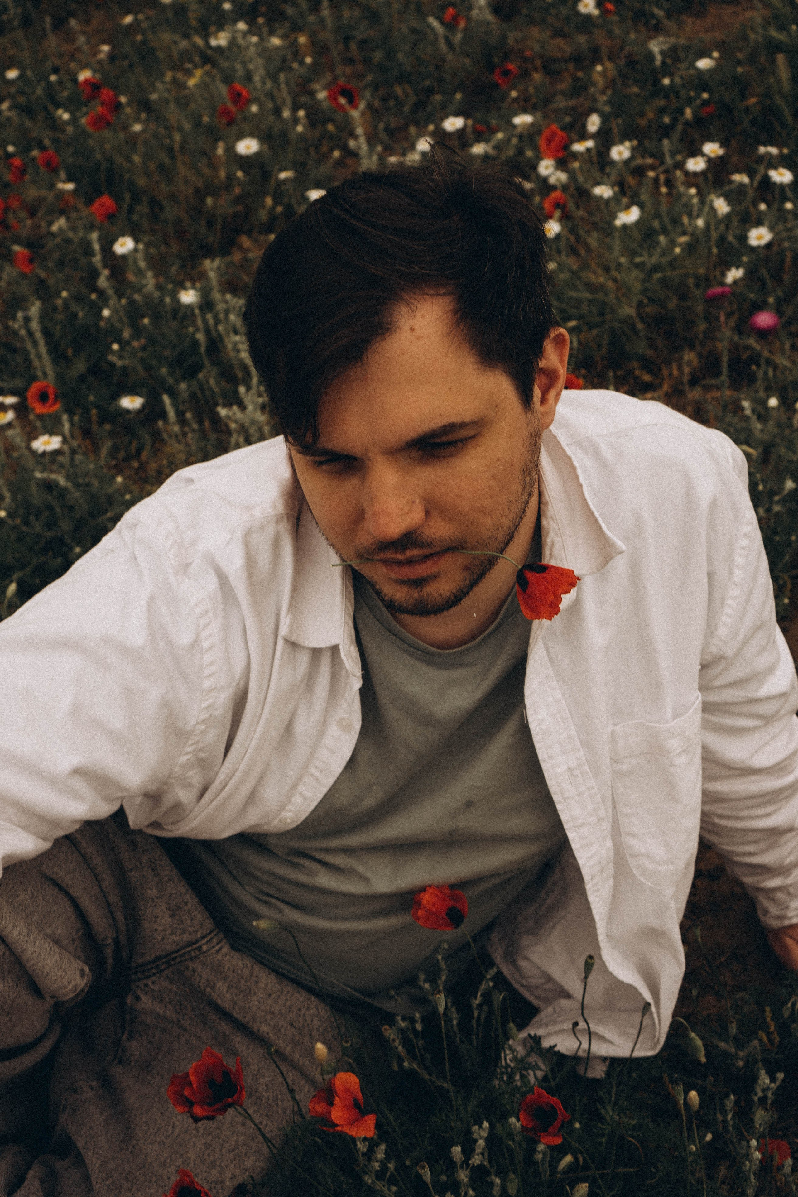 Маки. Профессиональный фотограф, Санкт-Петербург — Виктория Богомолова