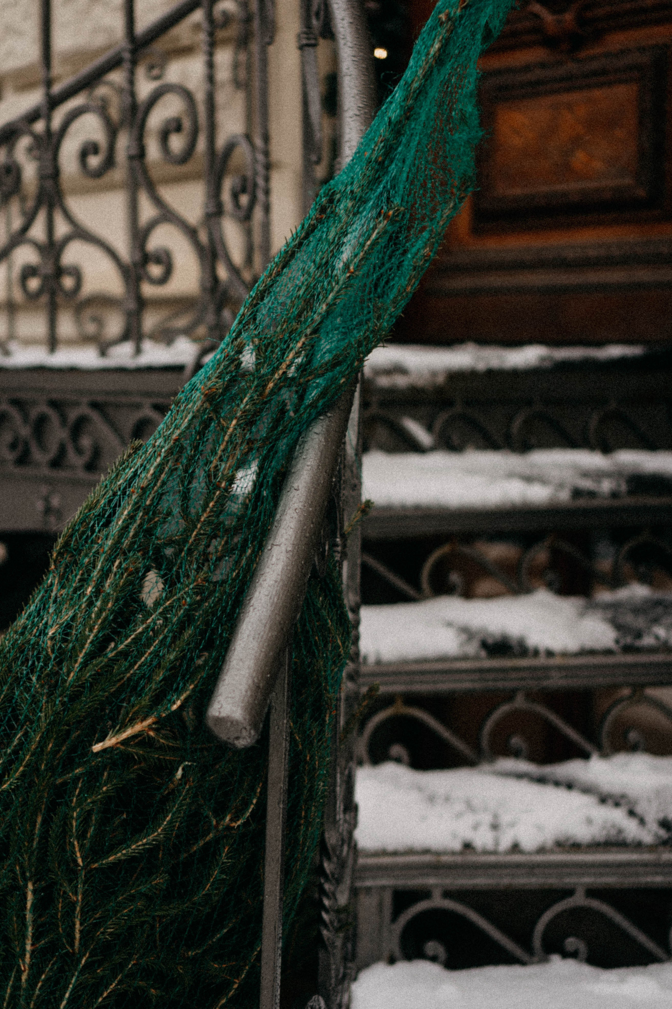 Новогодняя. Профессиональный фотограф, Санкт-Петербург — Виктория Богомолова