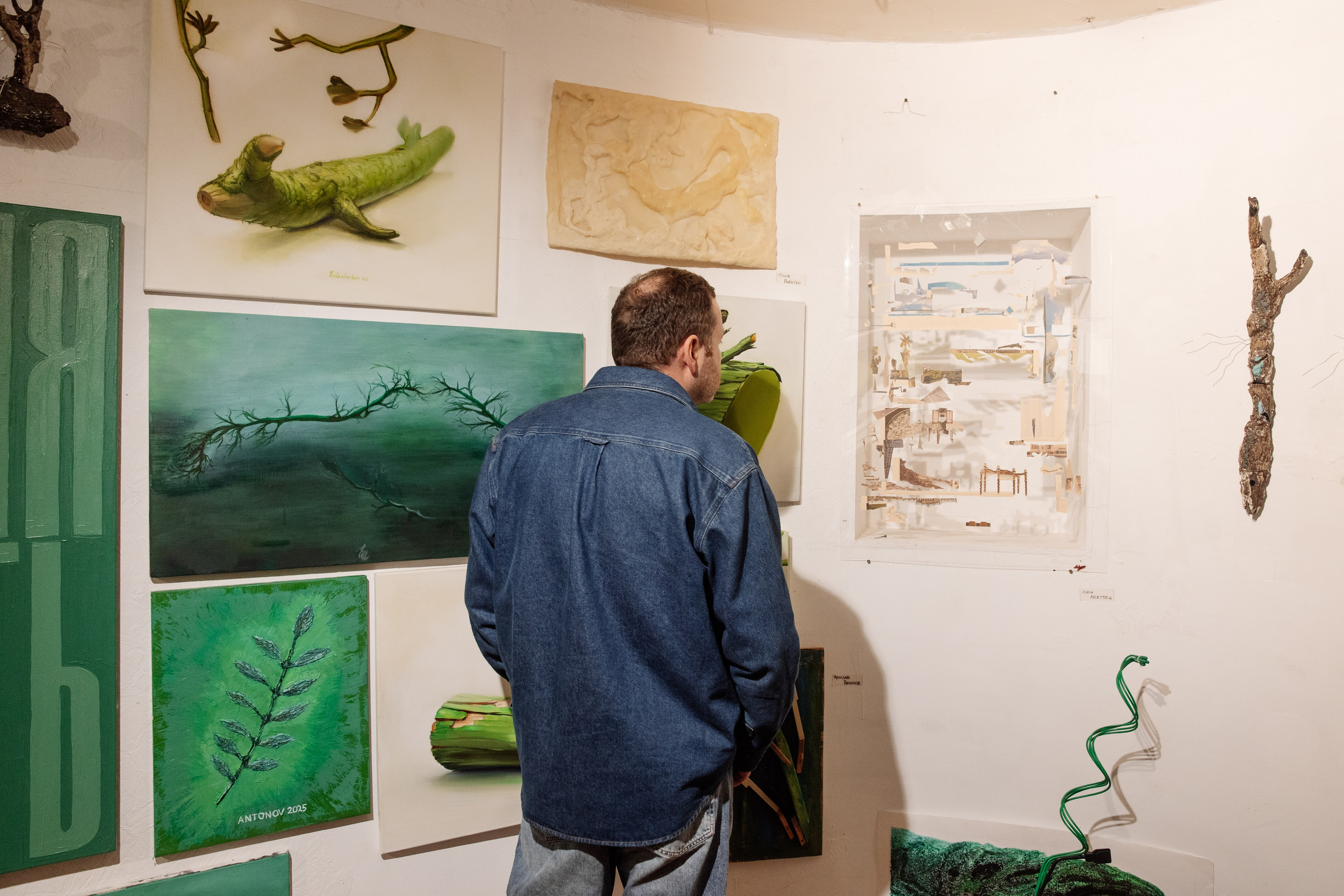 Зелёная ветка. Репортажный Фотограф | Константин Кондрашов