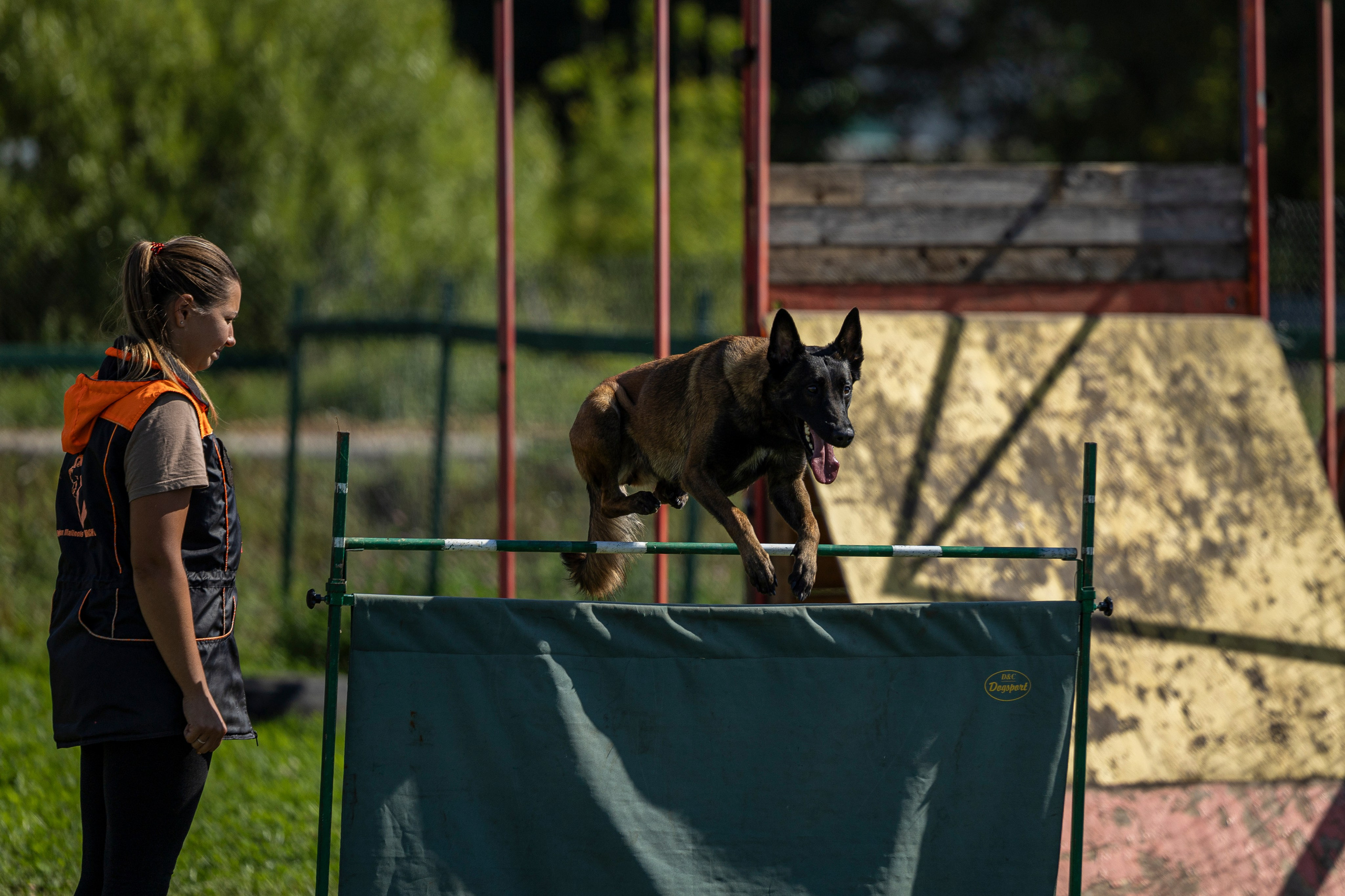 Соревнования по Мондьорингу г. Вологда 10-11.08.2024. Фотограф-анималист Анна Маринич