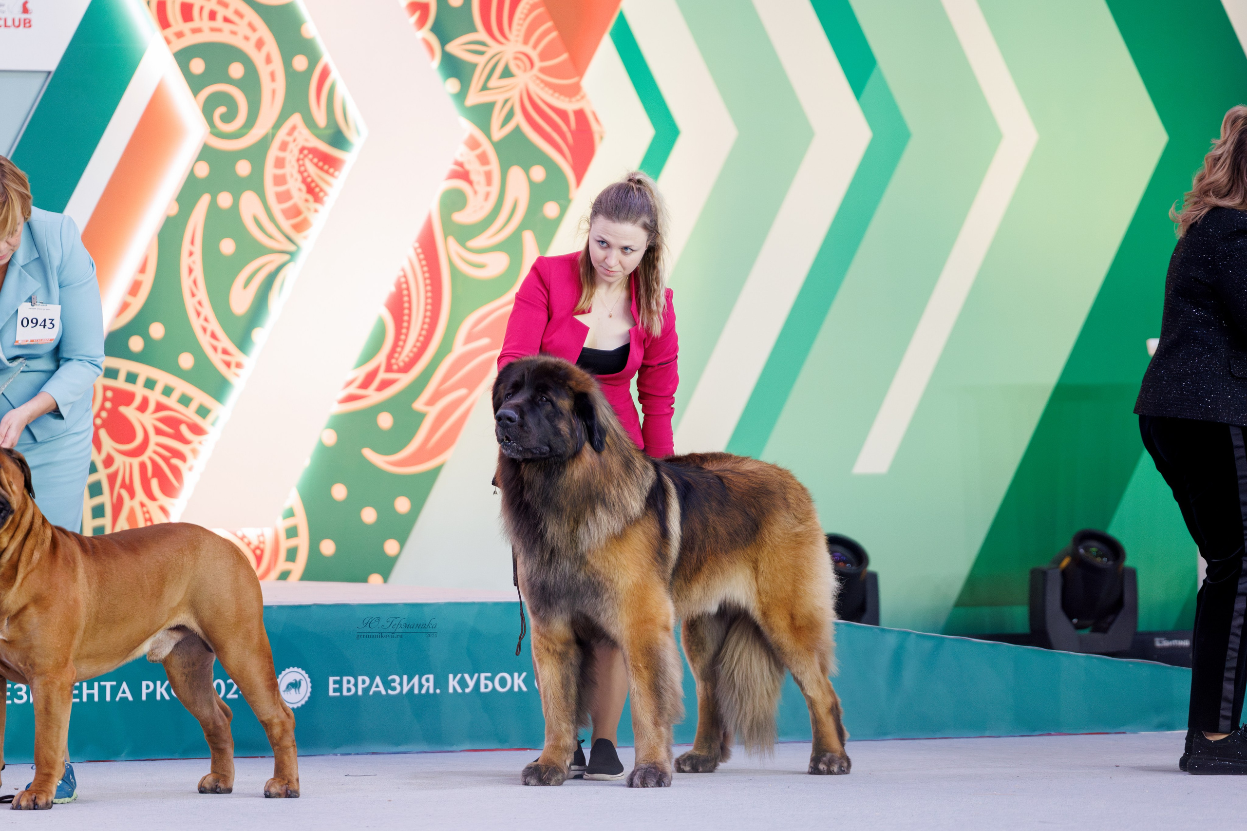 Евразия 16-17.11.2024. Фотограф-анималист Юлия Германика