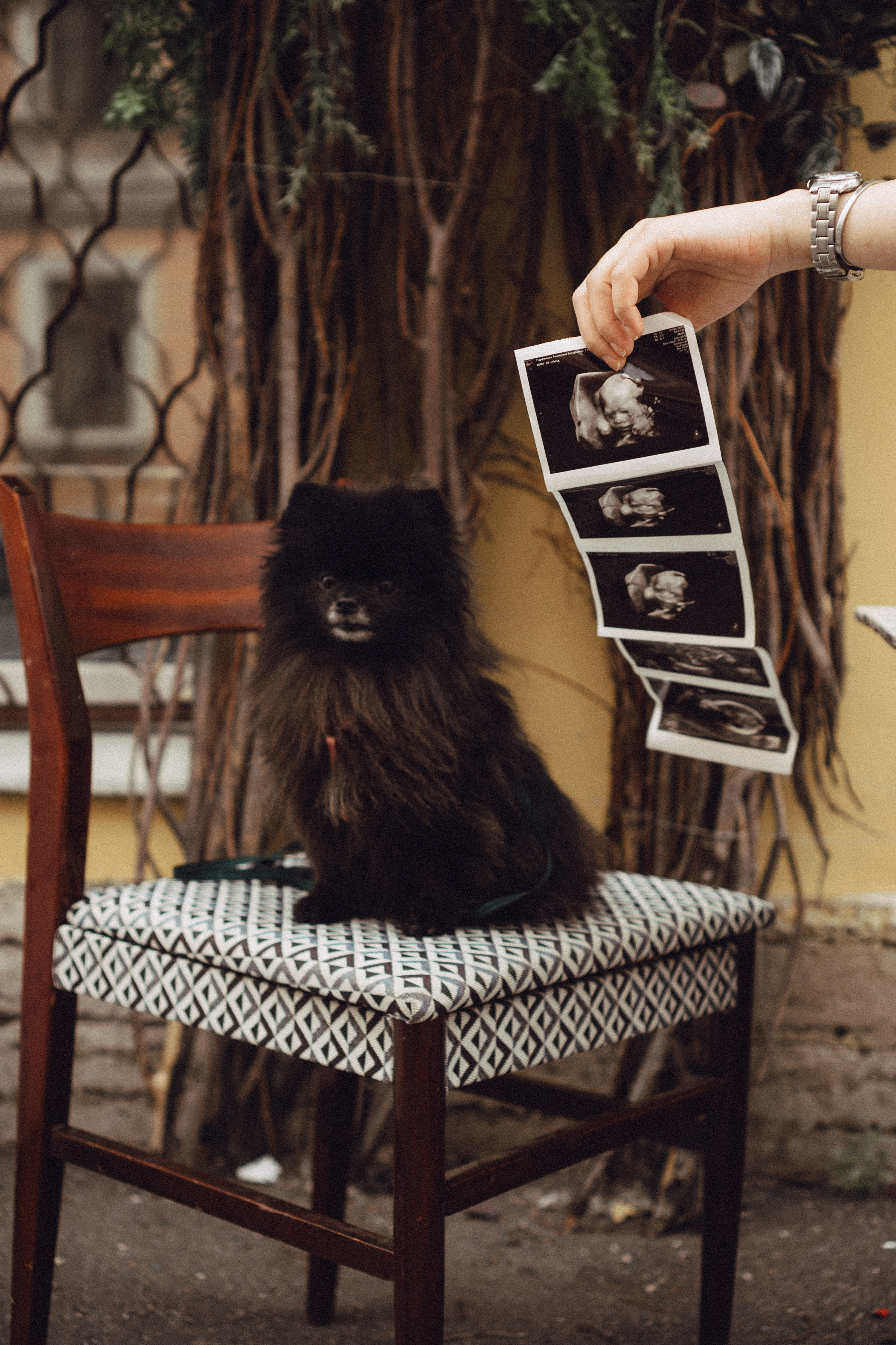 Беременность (только часть фото по желанию клиентов могу показать)). Профессиональный фотограф, Санкт-Петербург — Виктория Богомолова