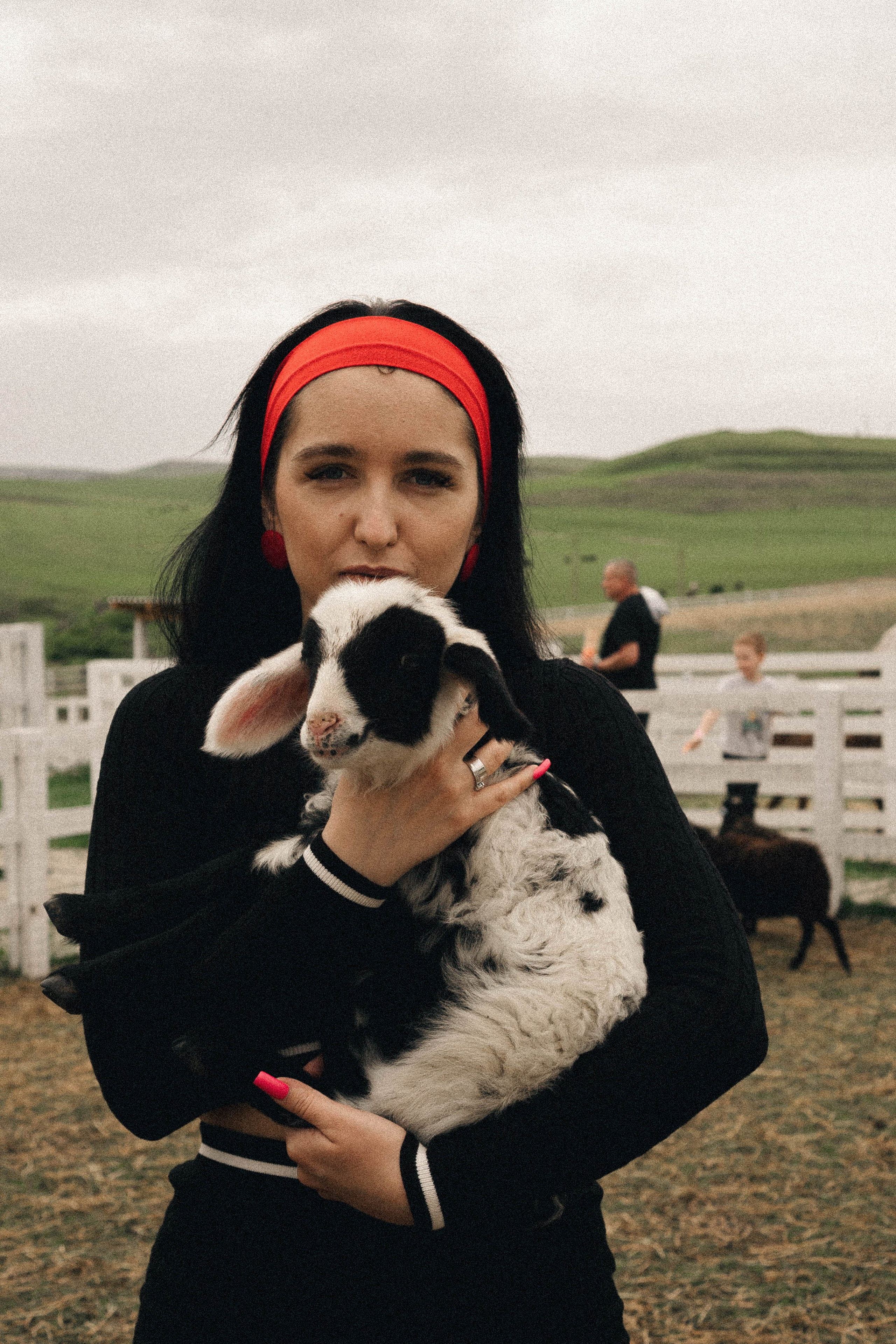 Ферма Альпак. Профессиональный фотограф, Санкт-Петербург — Виктория Богомолова
