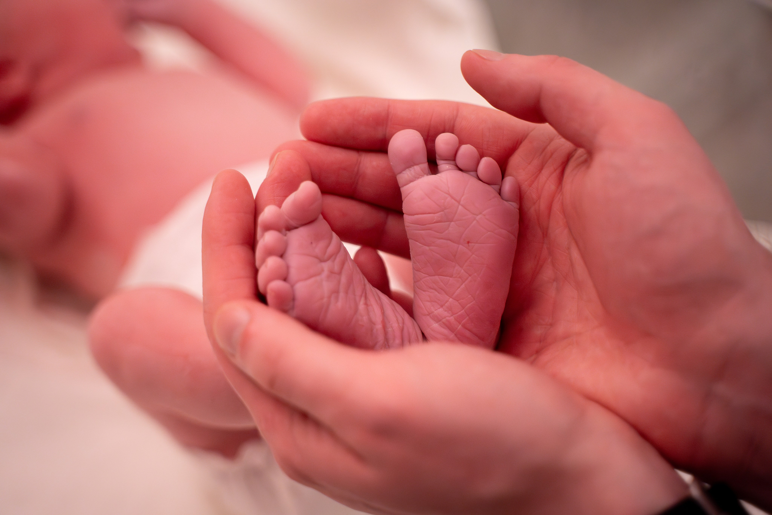 Агата. Фотограф на роды Москва Ольга Летучева