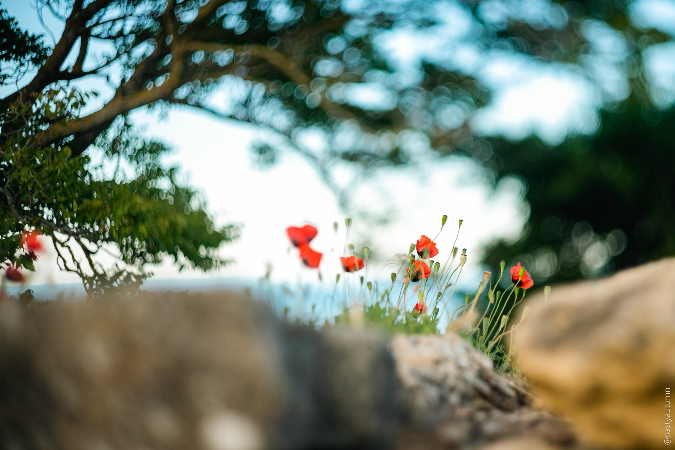 ПУТЕШЕСТВИЯ. Репортажный и концертный фотограф в Москве Анастасия Осень
