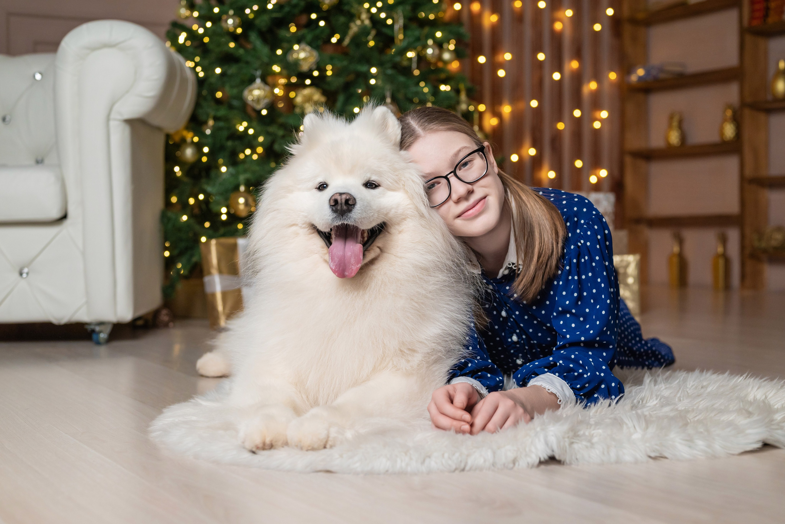 Фотопроект с самоедом 2023 г. Фотограф в городе Салават