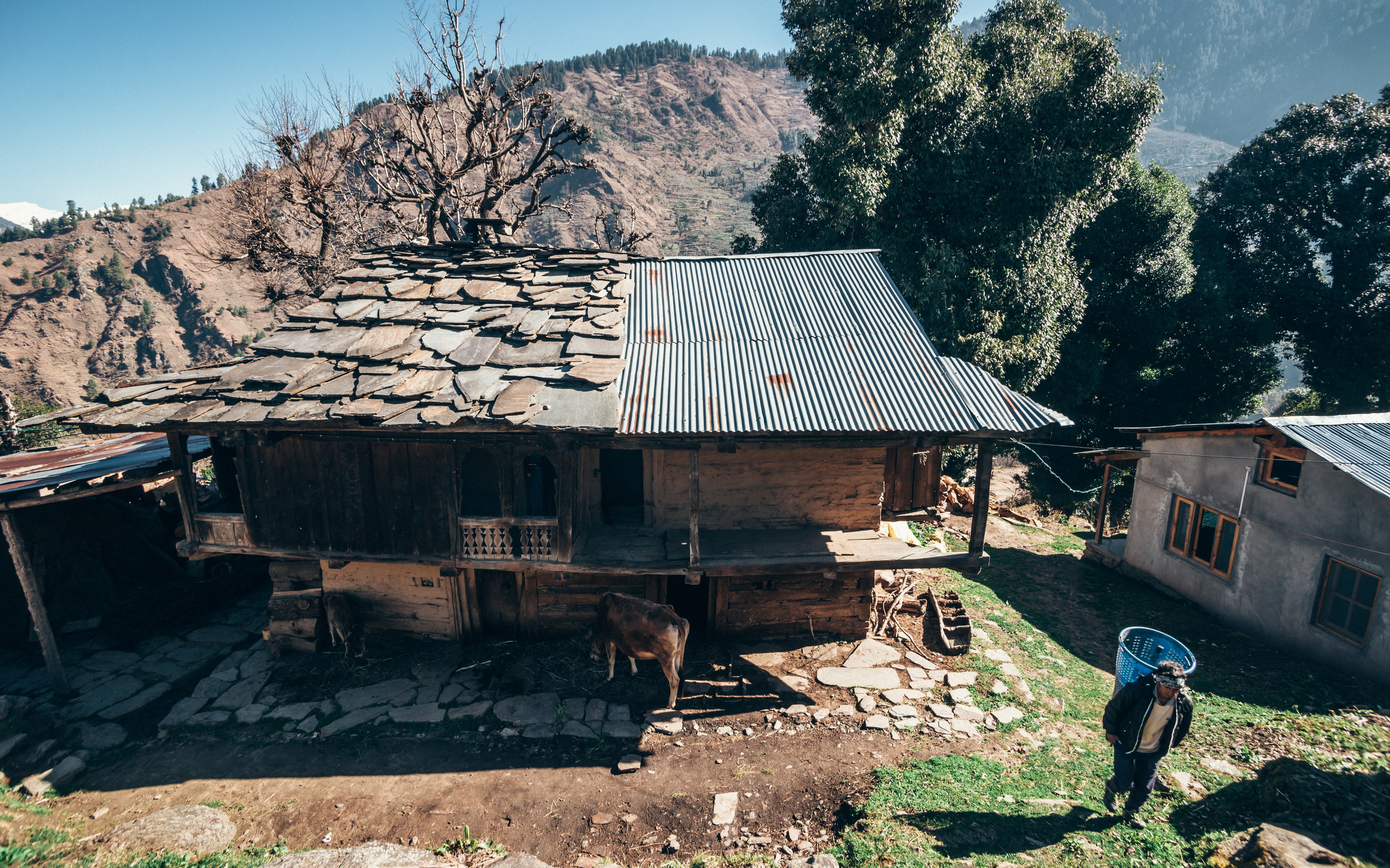 Индия. Фотограф Александр Решня
