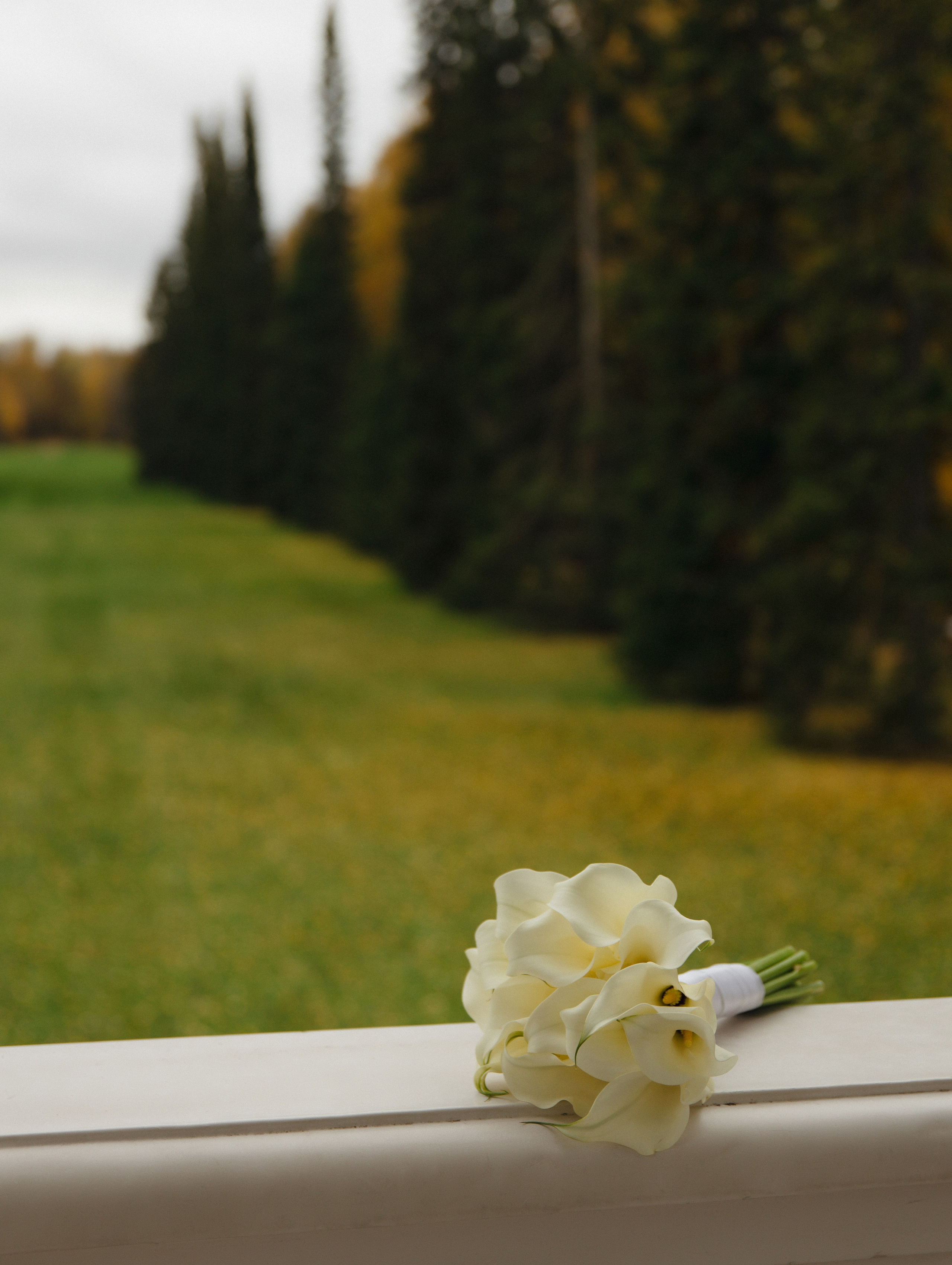 OSEN' LYUBLYU. Фотограф Санкт-Петербург Евгения Корякина (eva_maruu)