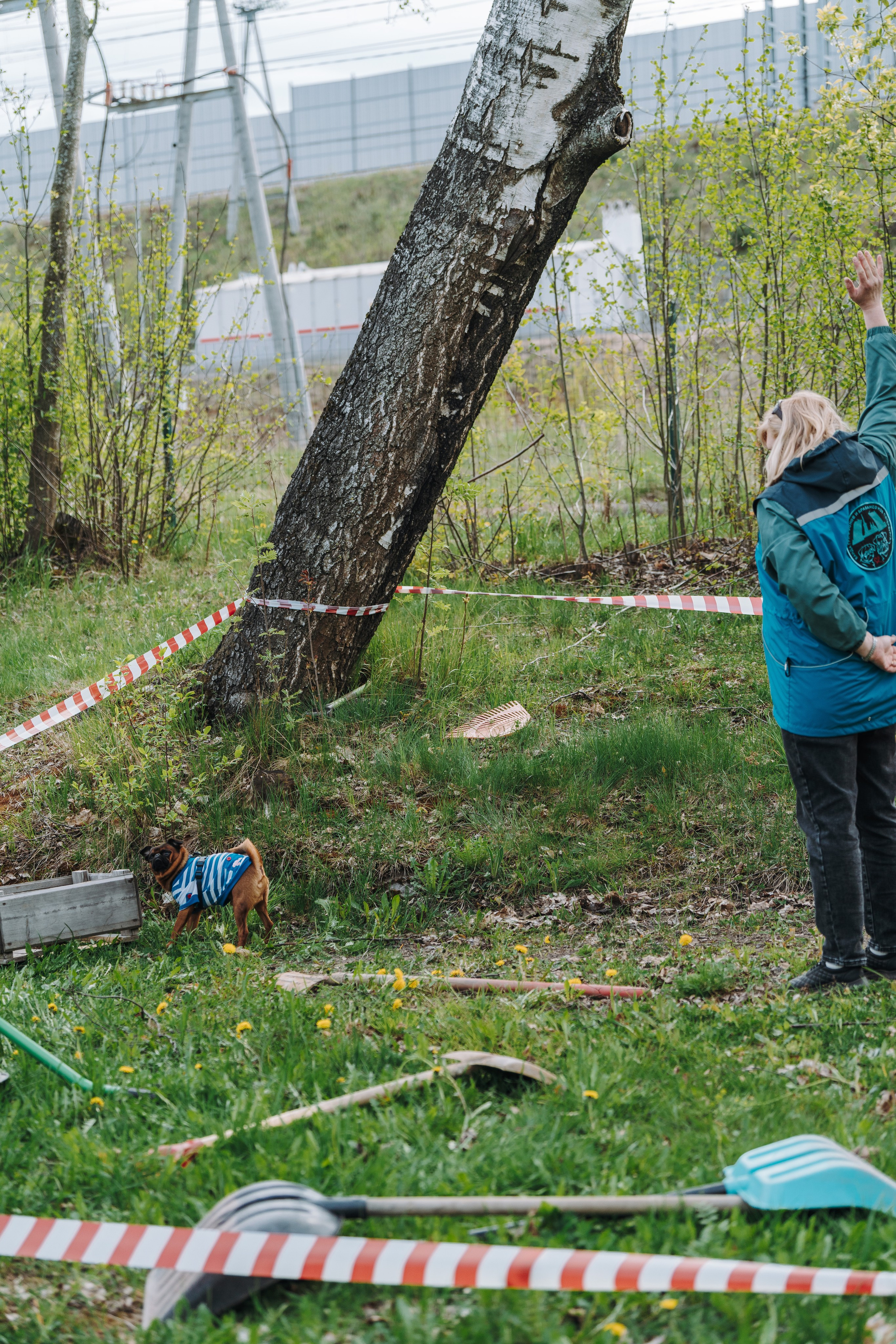 Соревнования по ноузворку в Лосево. Фотограф анималист в Спб недорого Олеся Майорова