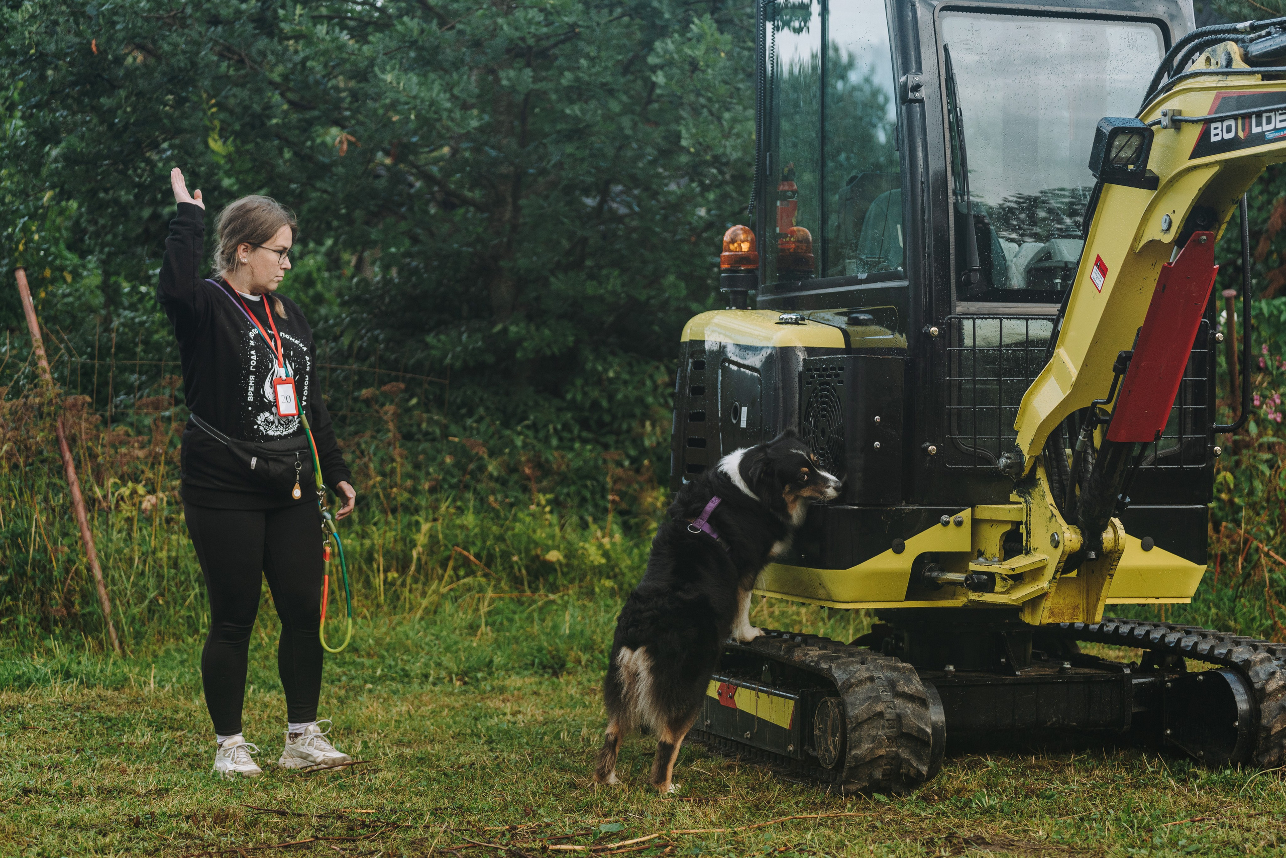 Соревнования по ноузворку в Новожилово. Фотограф анималист в Спб недорого Олеся Майорова