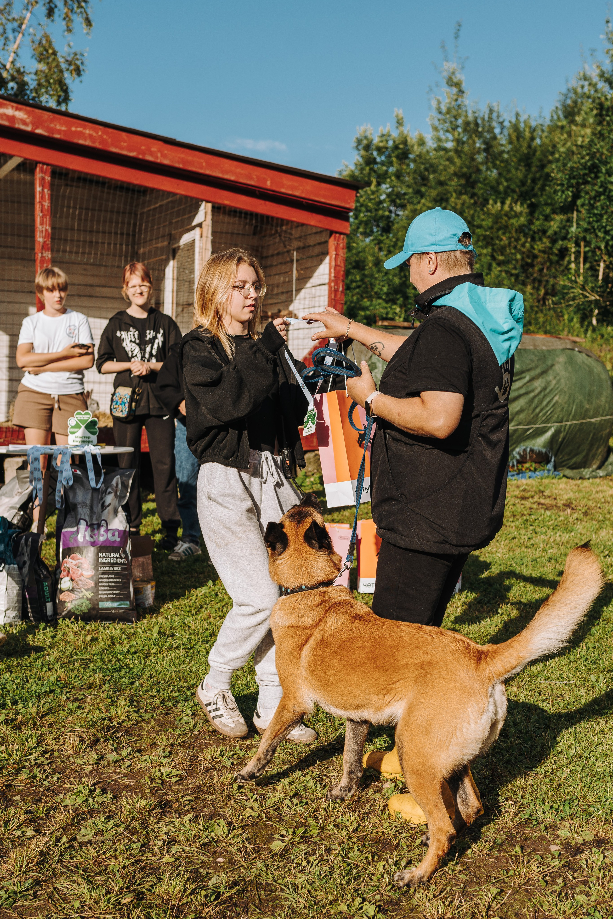 Соревнования по ноузворку в Новожилово. Фотограф анималист в Спб недорого Олеся Майорова