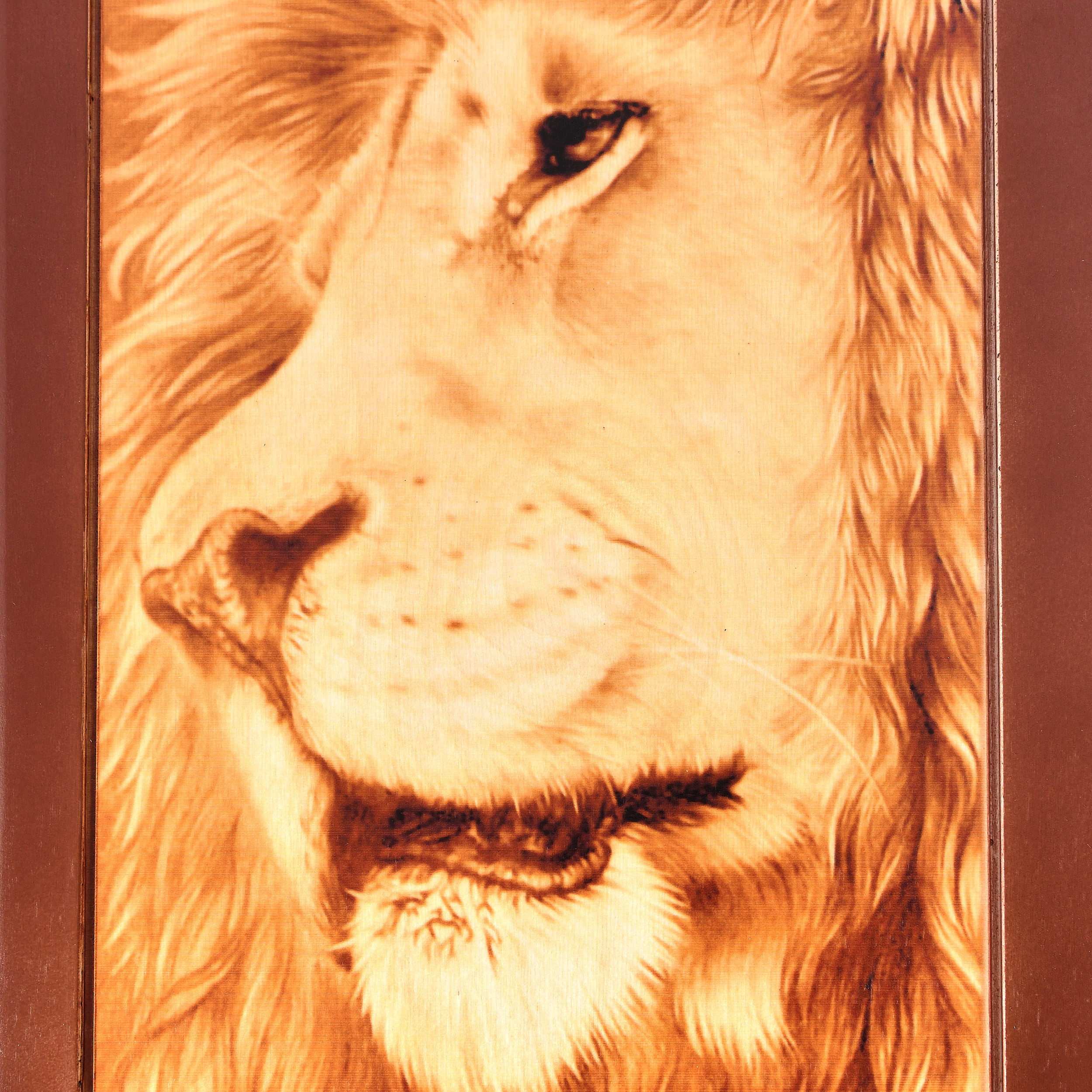 Нарды Шахматы белый фон. Предметный фотограф Санкт-Петербург