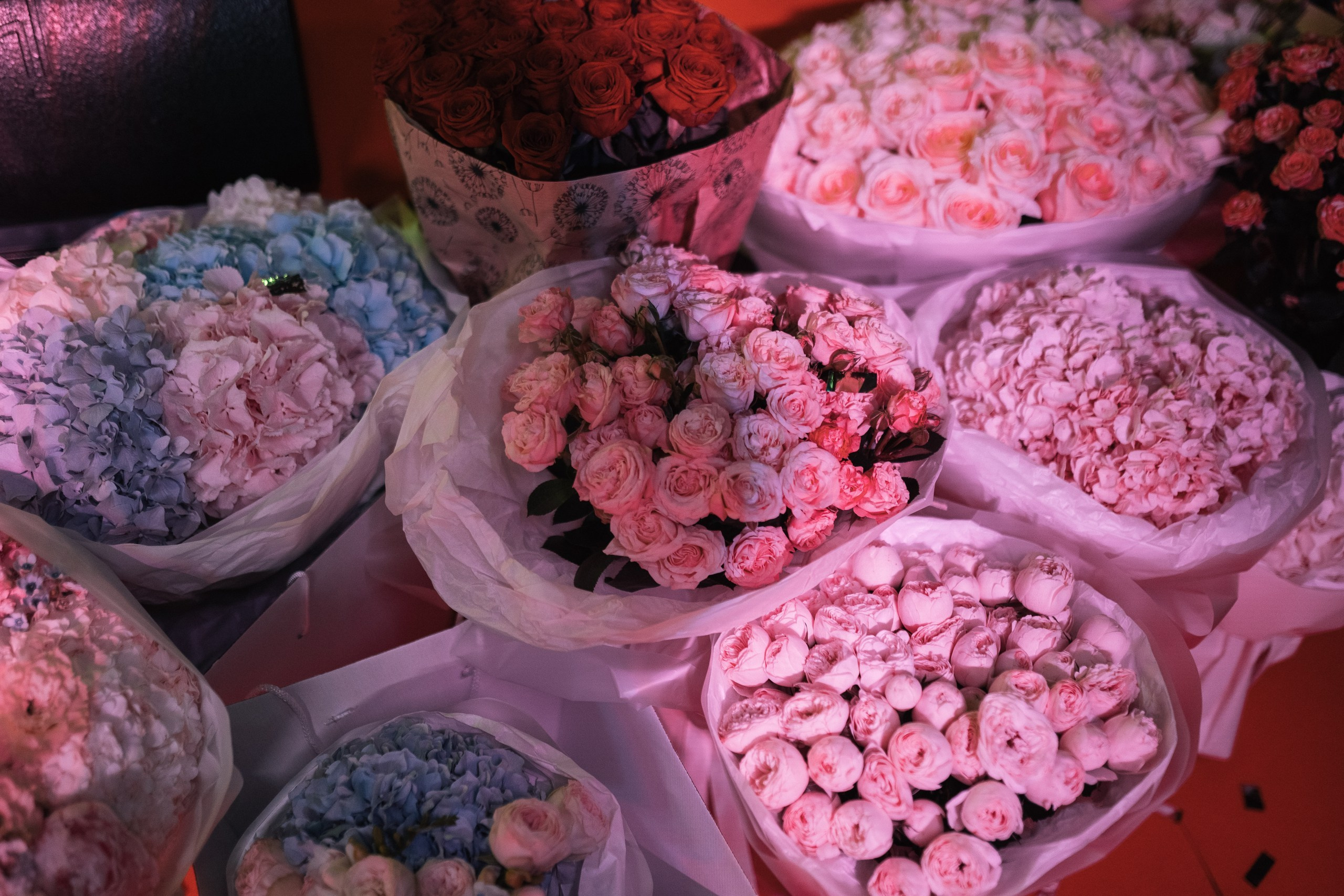 Фотограф на мероприятие Новосибирск