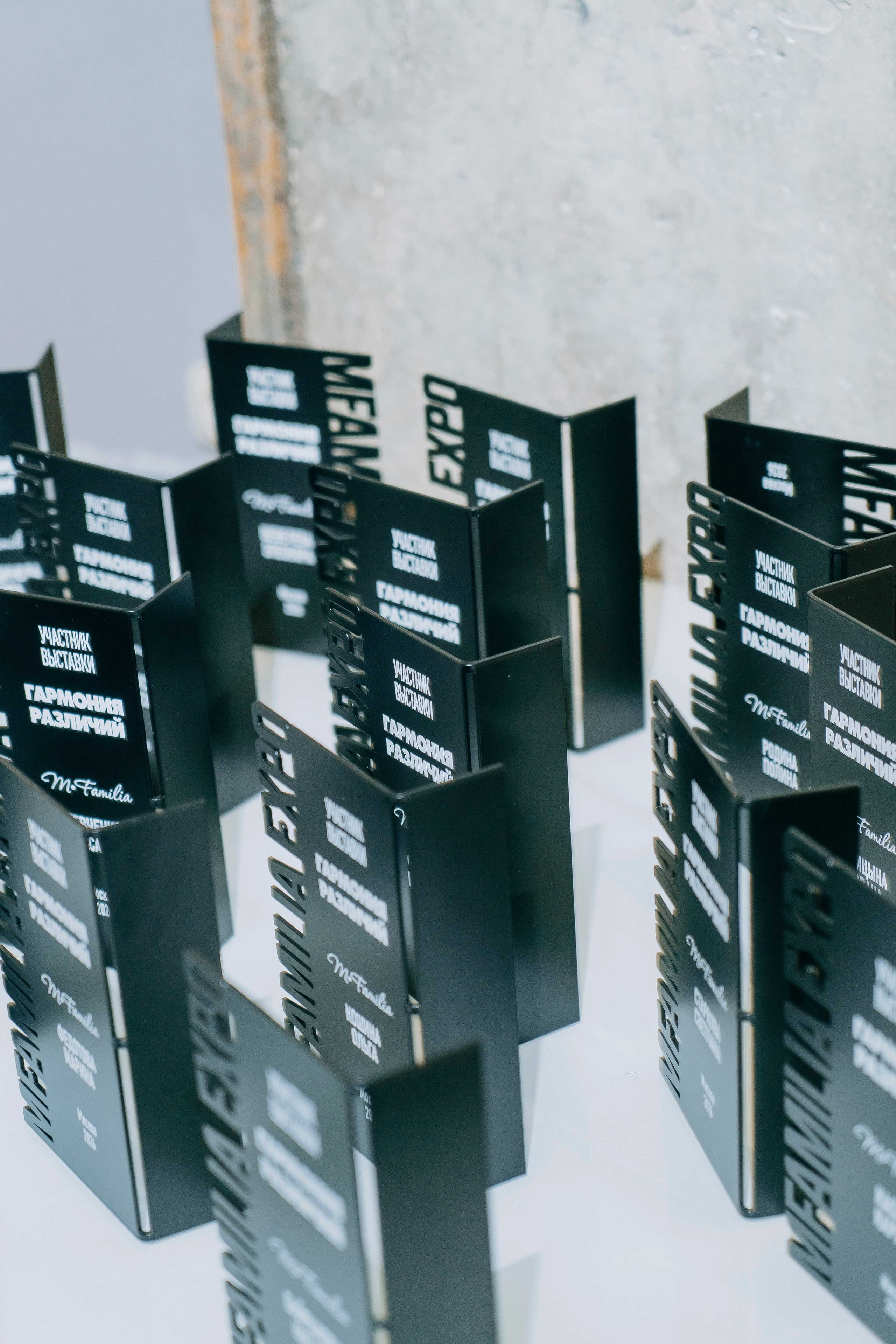 Вернисаж фотовыставки MFamilia «Гармония различий». Организация фотовыставок в Петербурге и Москве, MFamilia (МФамилия)