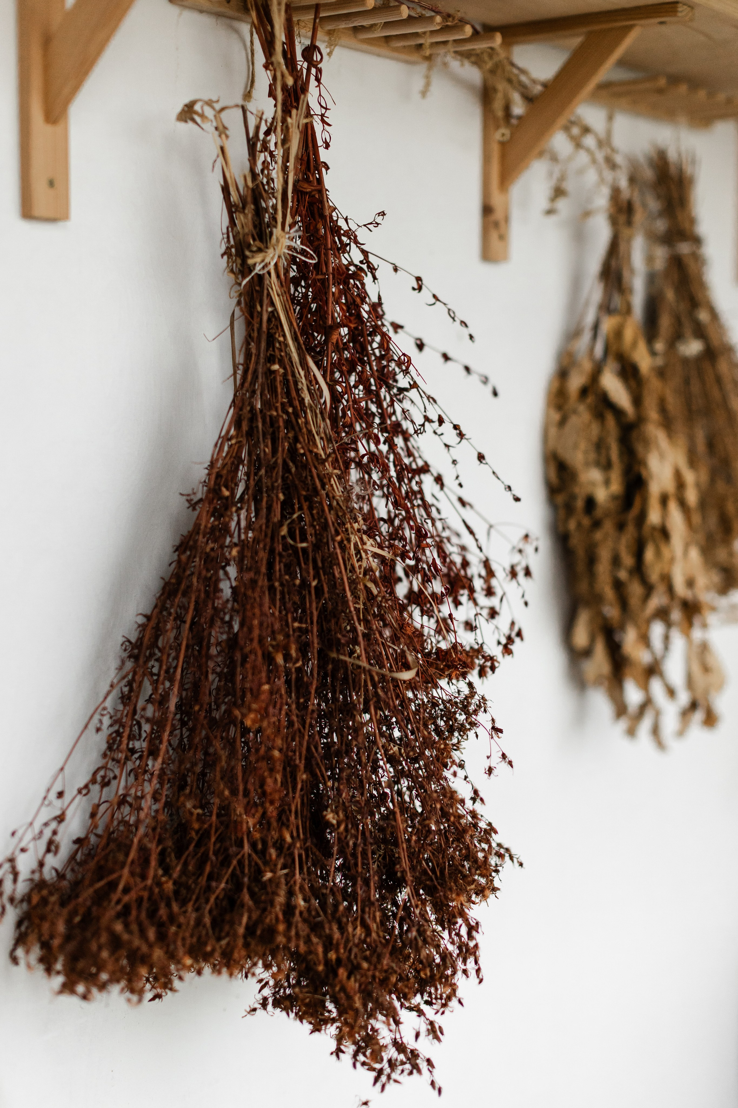 Маленькое начало большого проекта. Портретный фотограф в Минске Анна Волейко