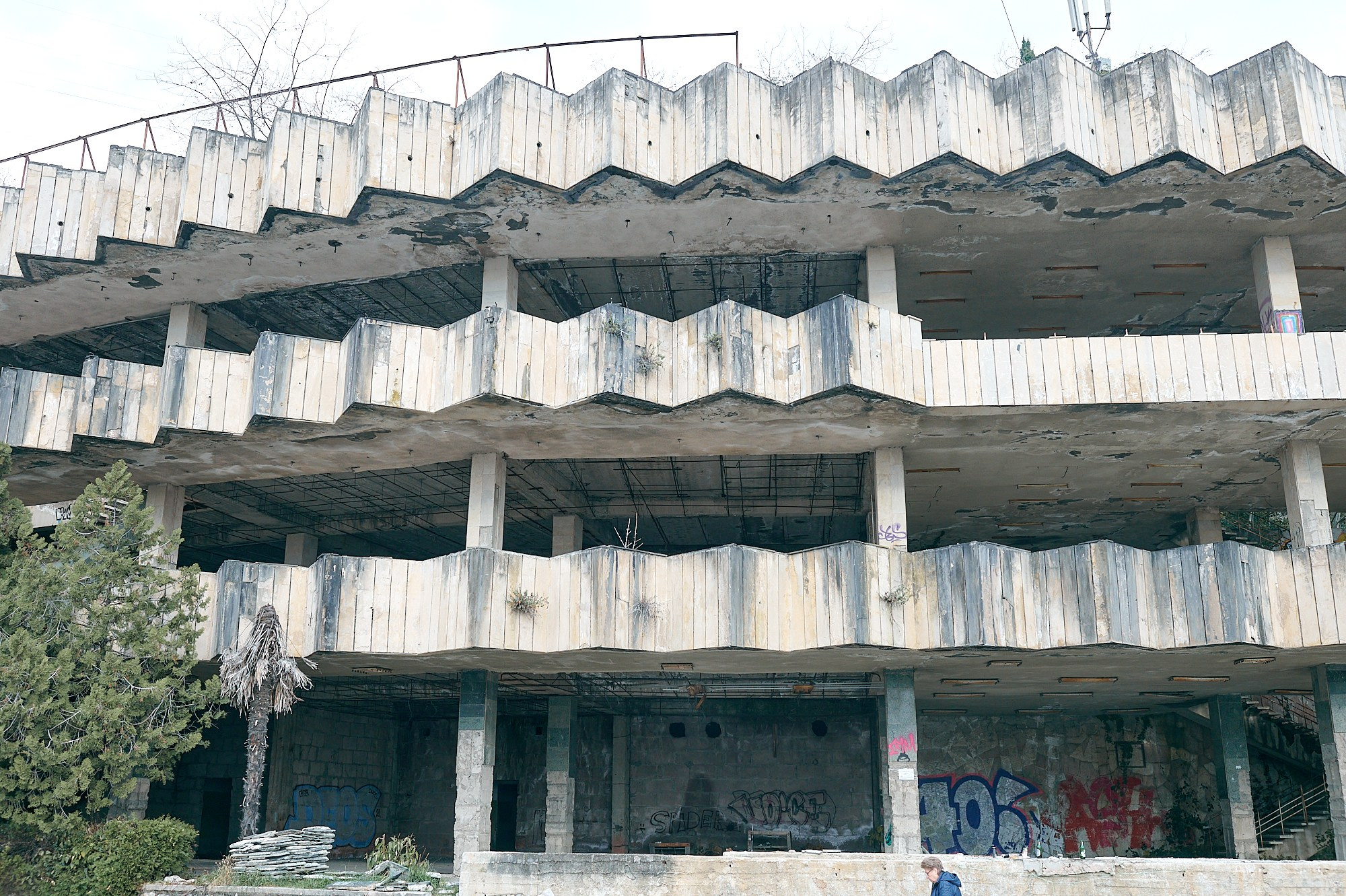 Гагра, Абхазия. Декабрь 2024. Фотографии отовсюду и обо всем