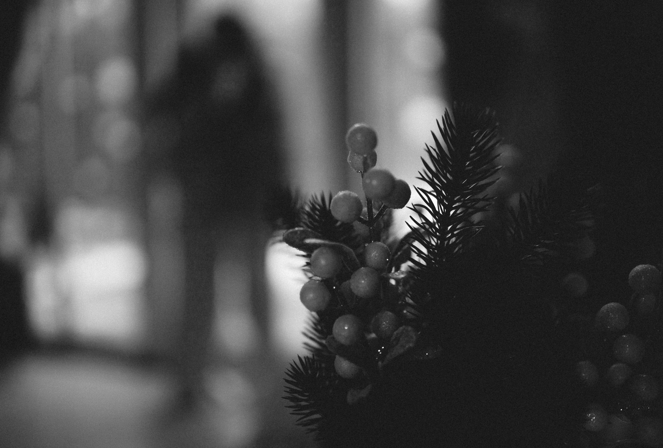 Агата и Женя. Семейный фотограф Губкин/Старый Оскол