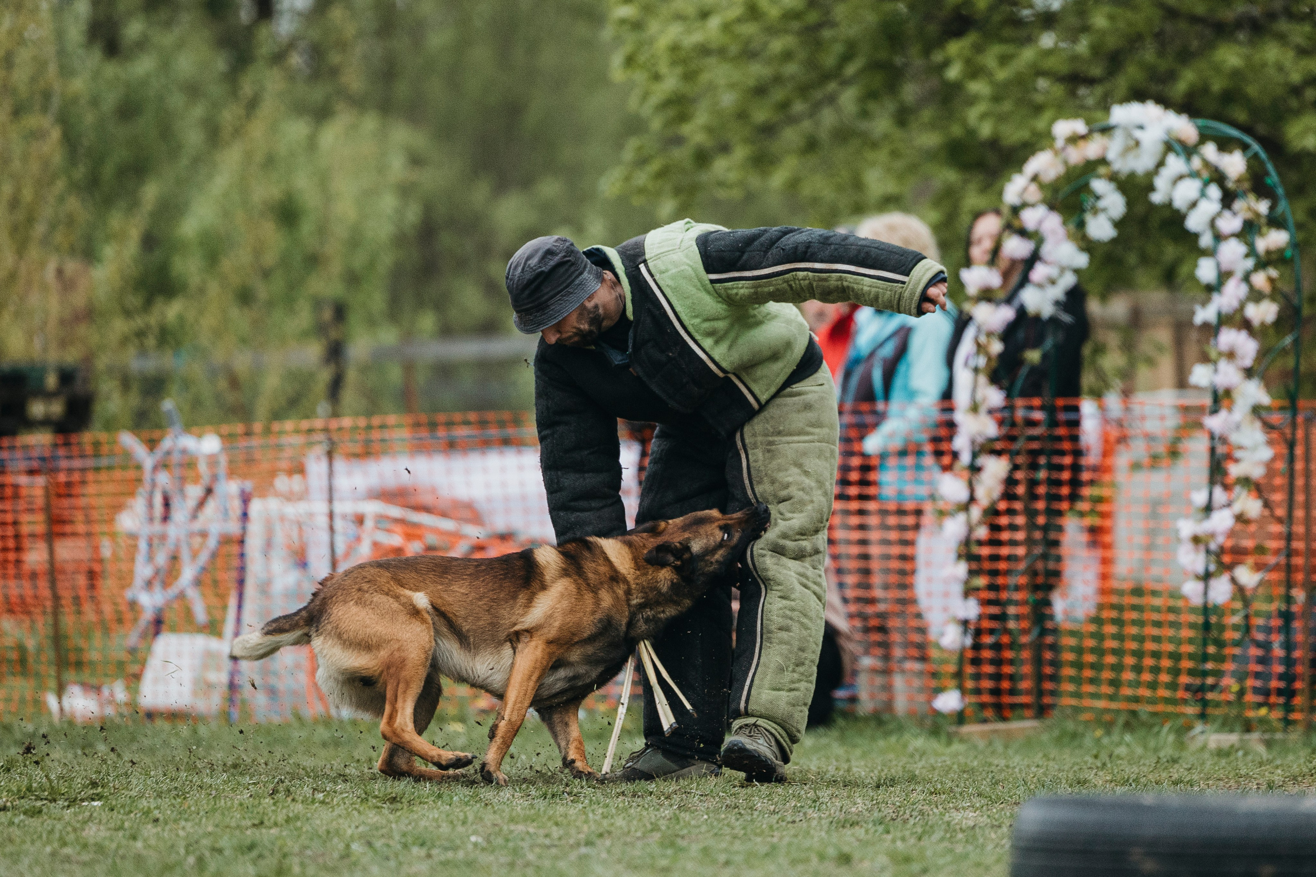 26.05.25 г. Пушкин квалификационные соревнования. Фотограф-анималист Анна Маринич