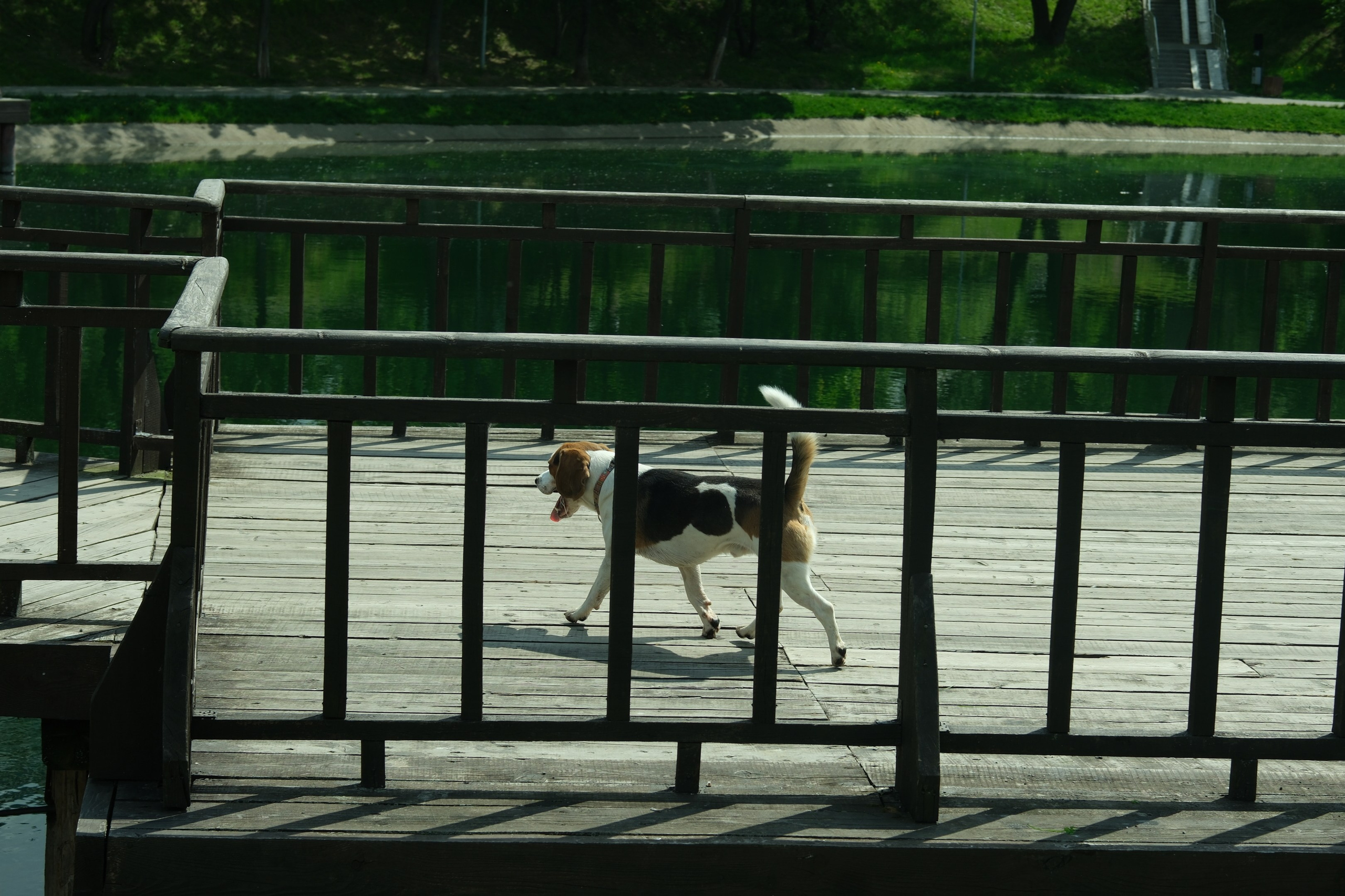 Кировоградские каскадные пруды 2024. Улица, люди, жизнь…