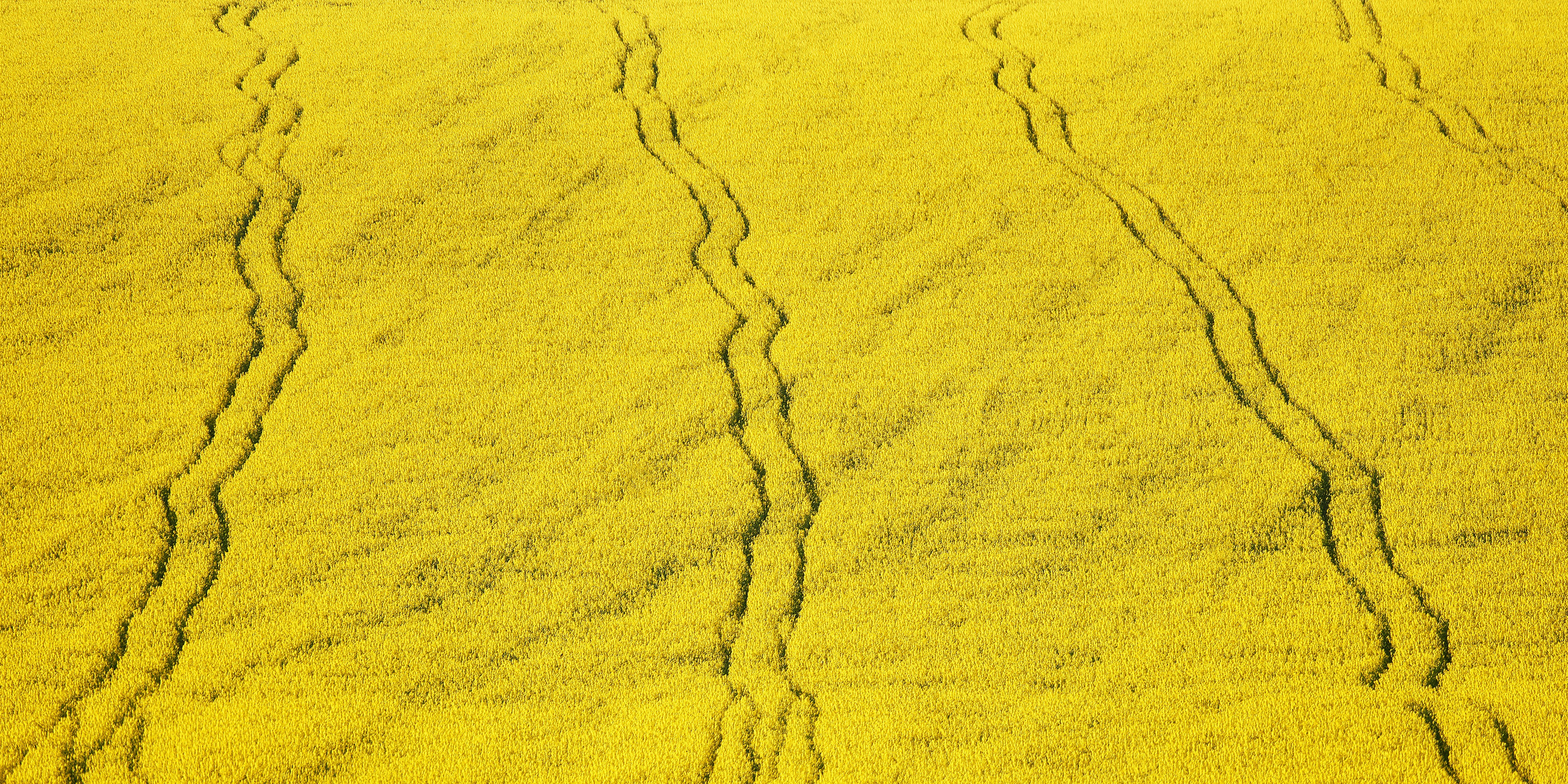 Текстуры — природа. Яркие фото на Чёрном море