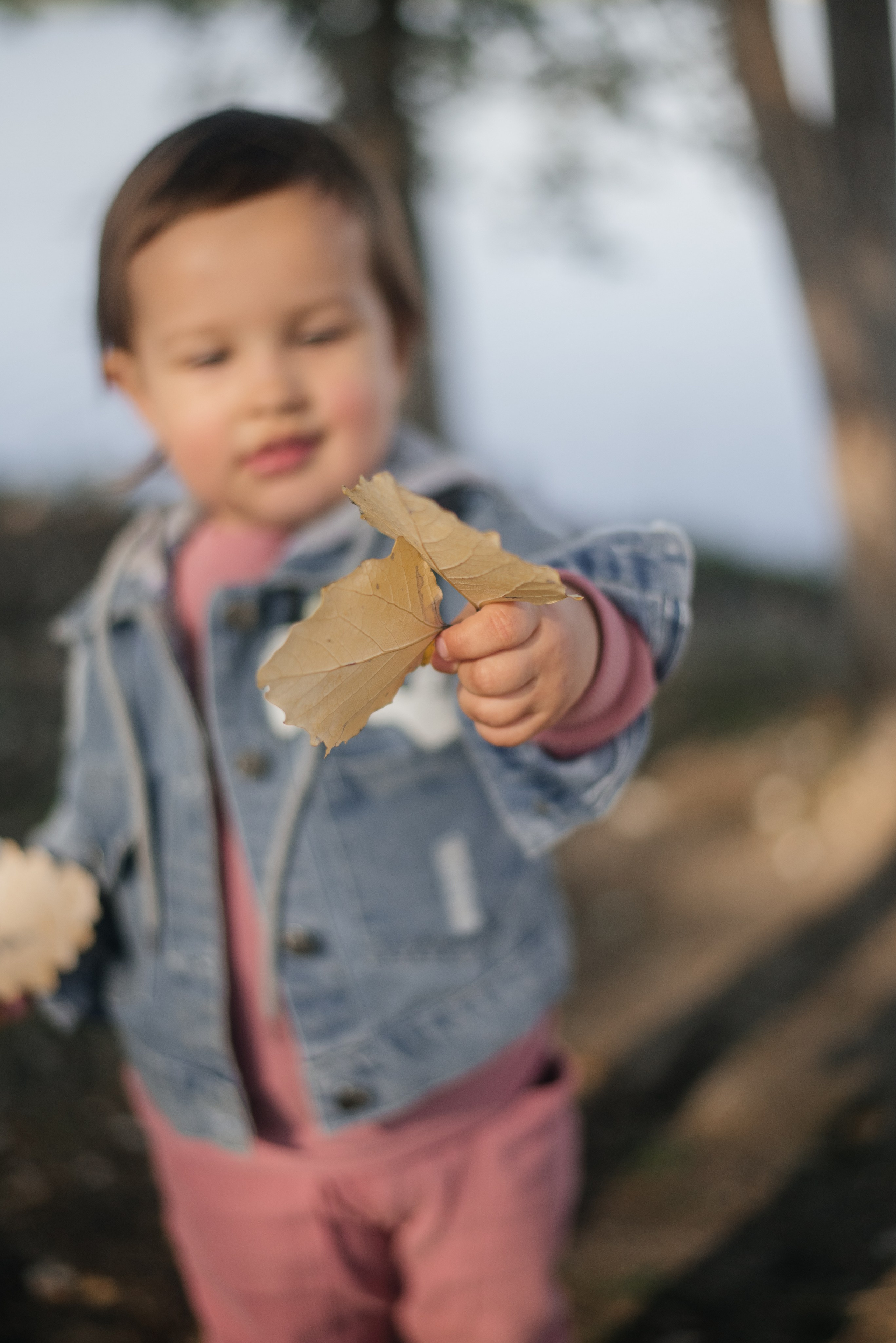 Дарья и семья. Свадебный фотограф Белгород
