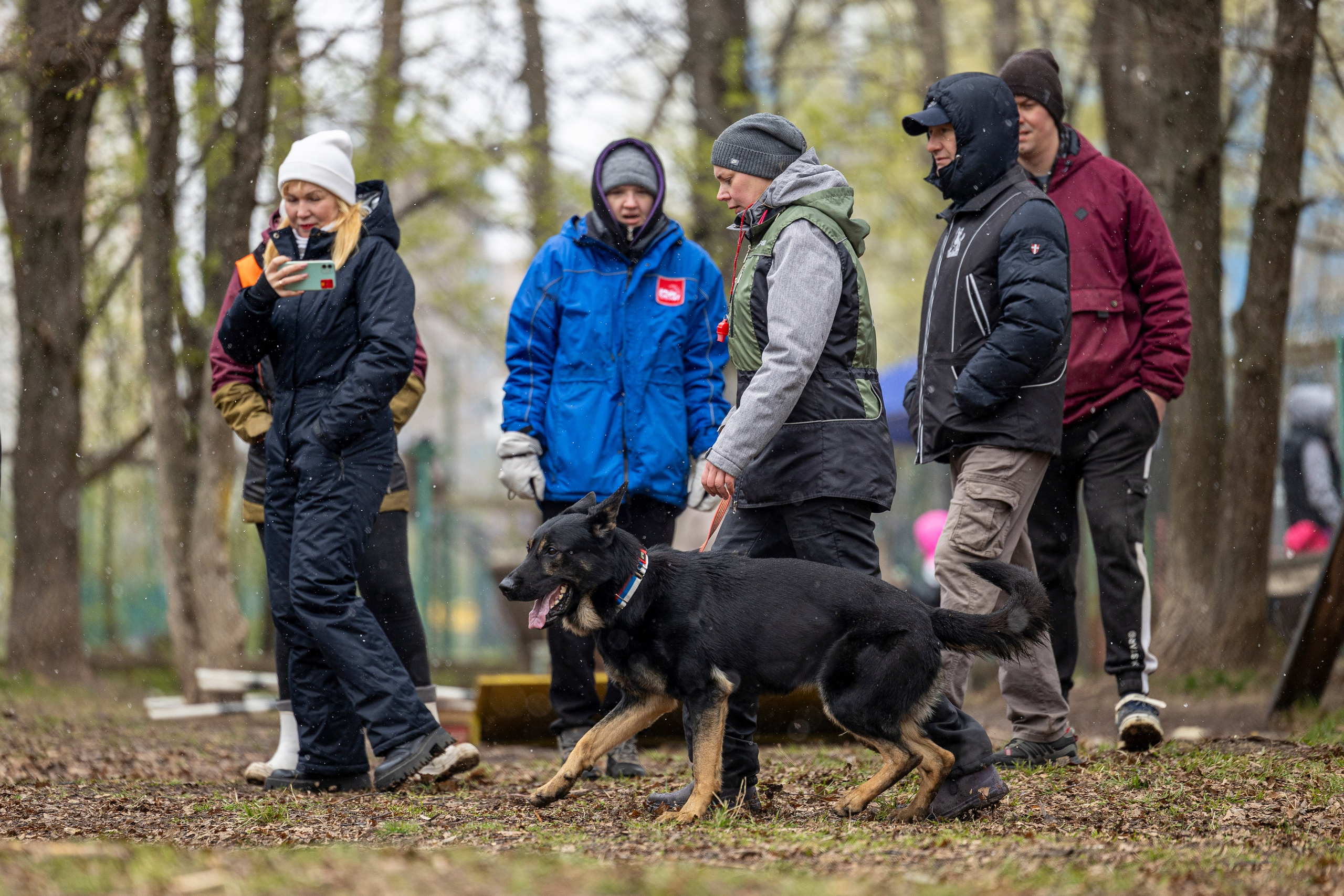 Квалификационные состязания по мондьорингу г. Вологда 11.05.24. Фотограф-анималист Анна Маринич