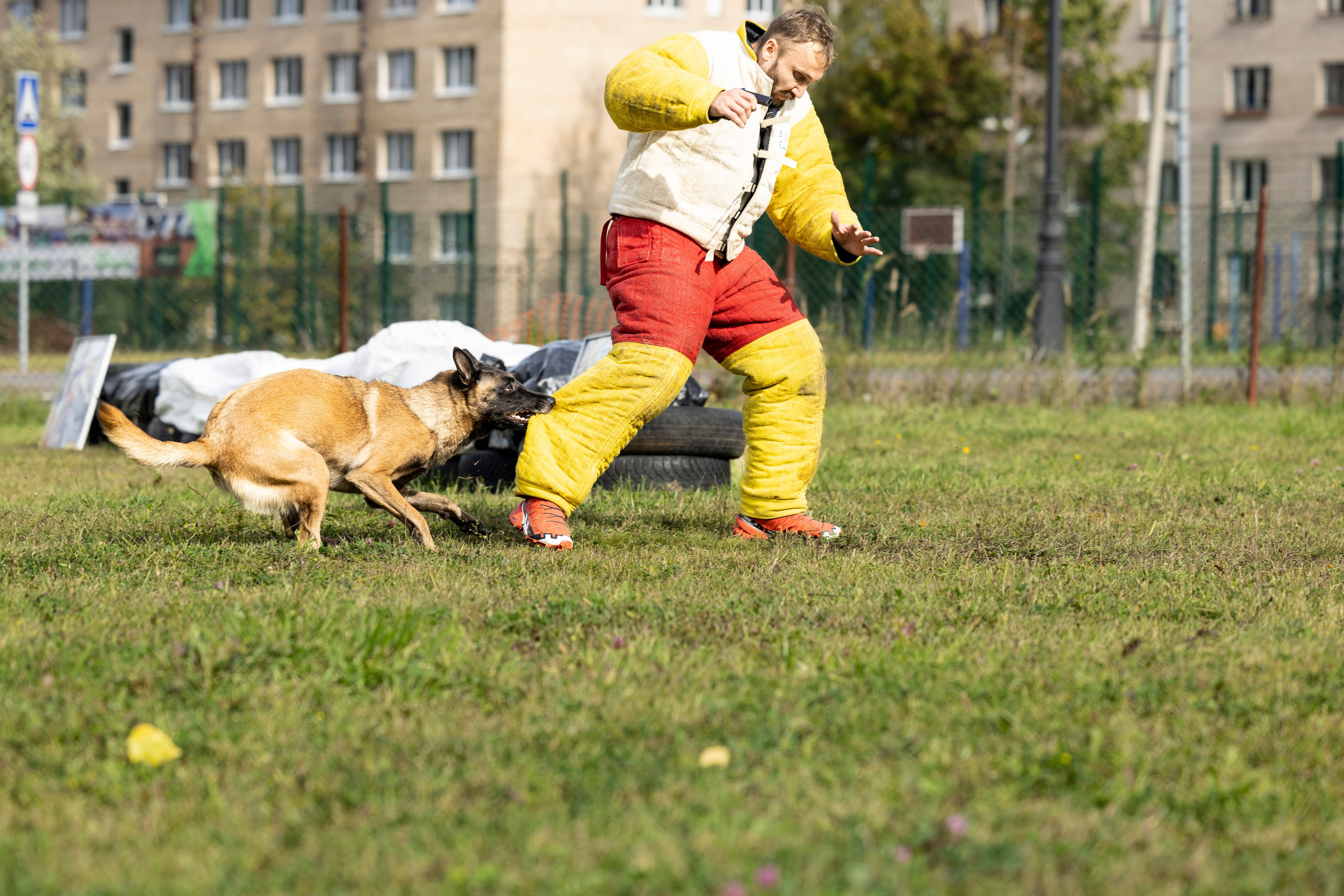 Испытания по Мондьорингу г. Пушкин. Фотограф-анималист Анна Маринич