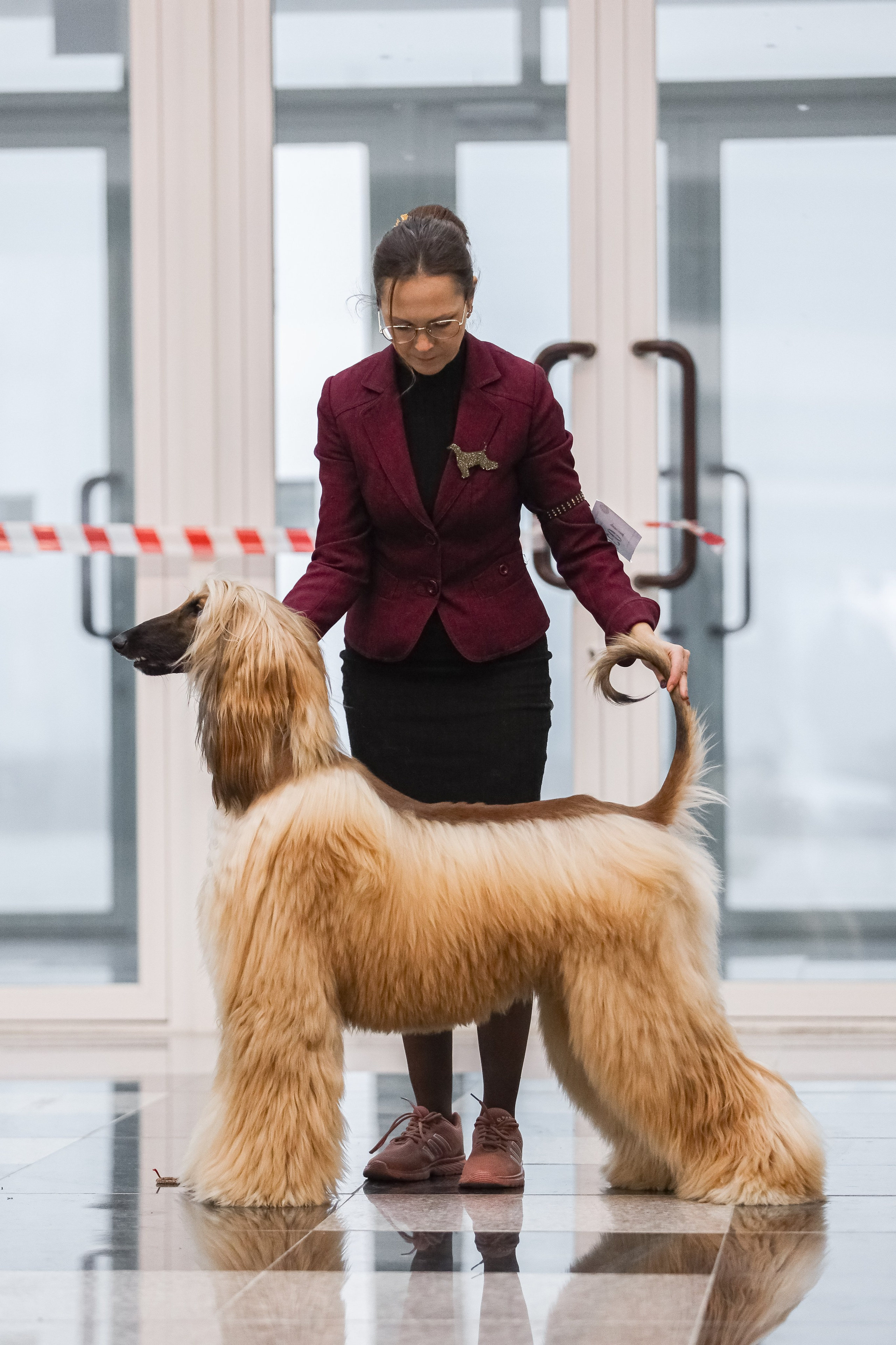 Международная выставка собак СACIB FCI 29-30.11.2025. Галерея фотографий афганской борзой