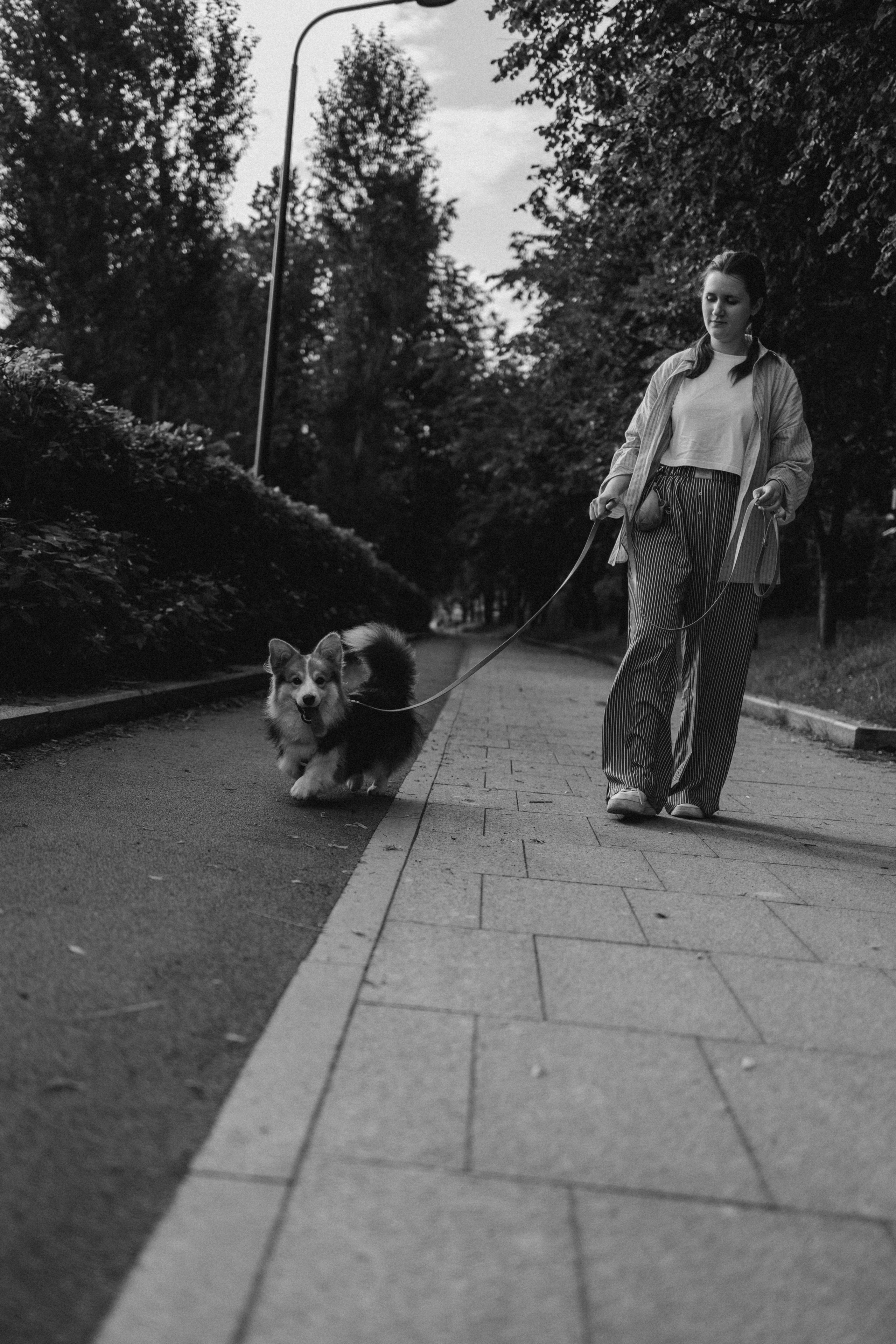 Мишель и Влада. Фотораф — анималист Мария Шистка